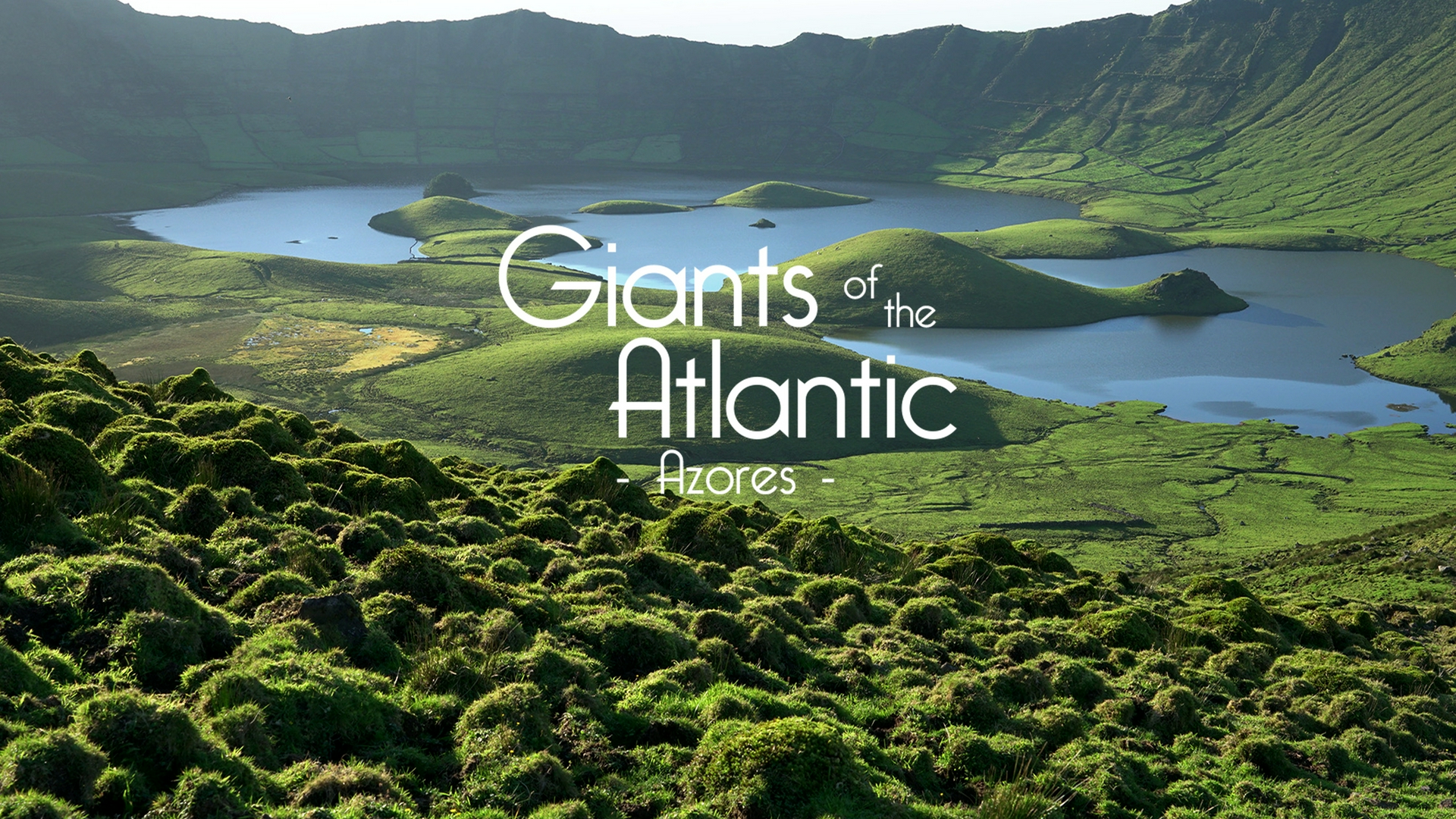 Giants of the Atlantic