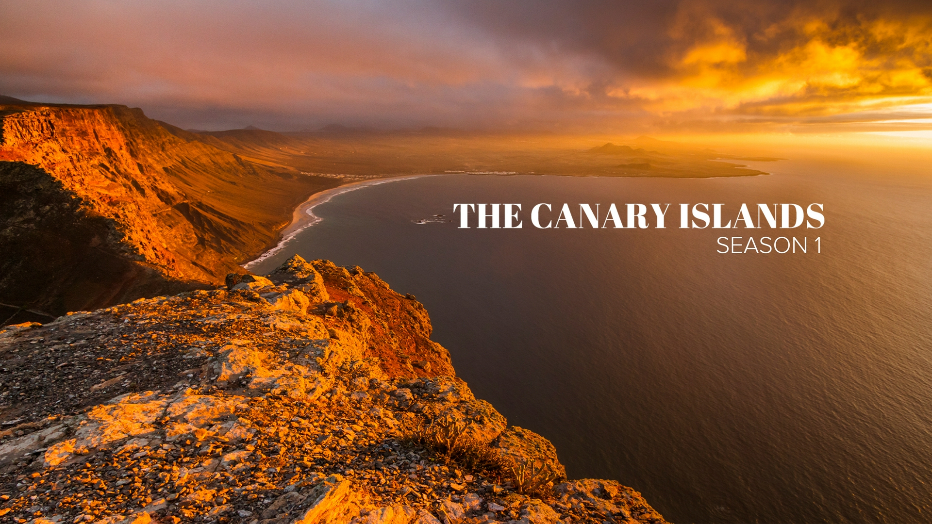 The Canary Islands