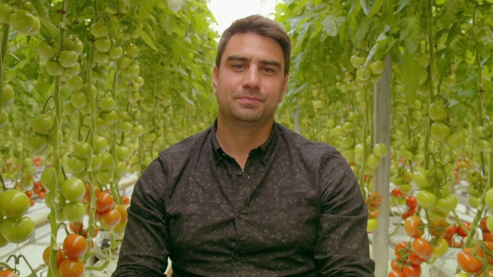 Die Ernährung von morgen