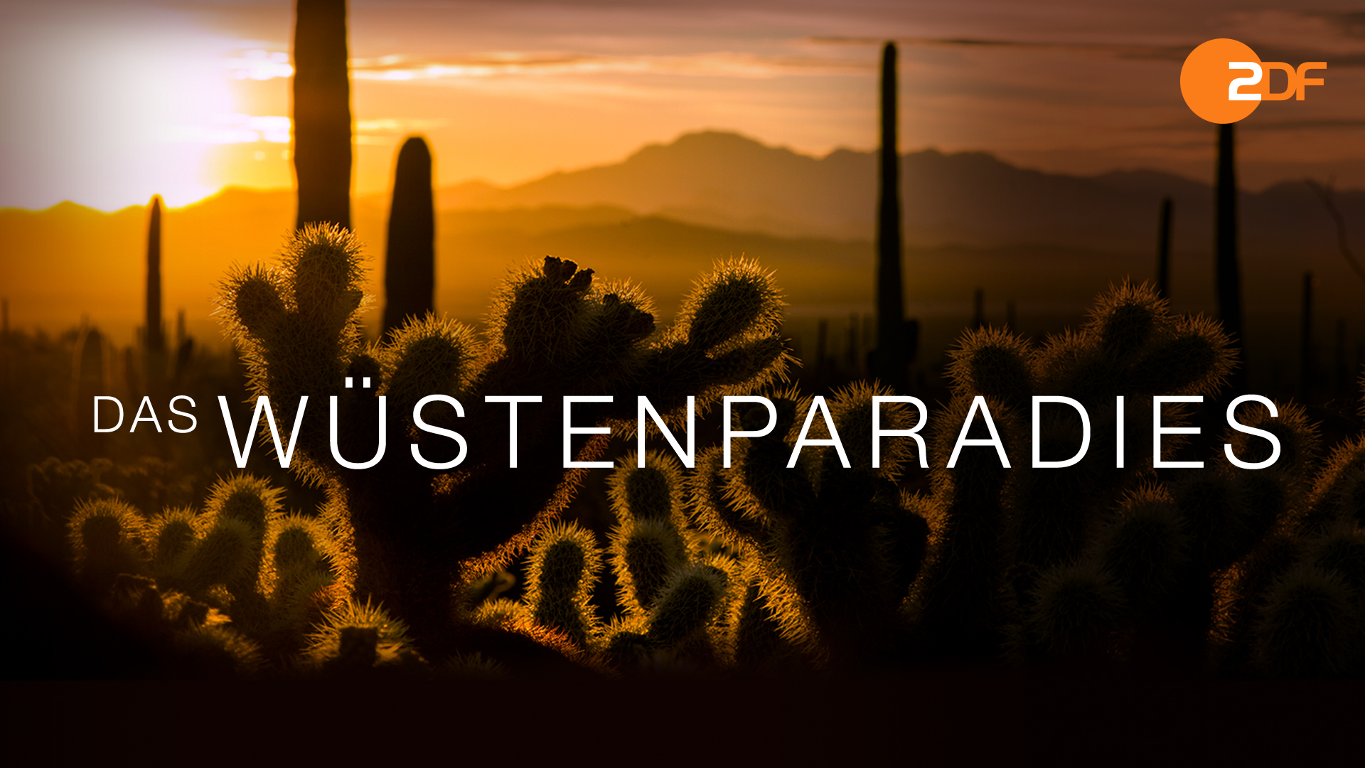 Auf Inseln und Festland