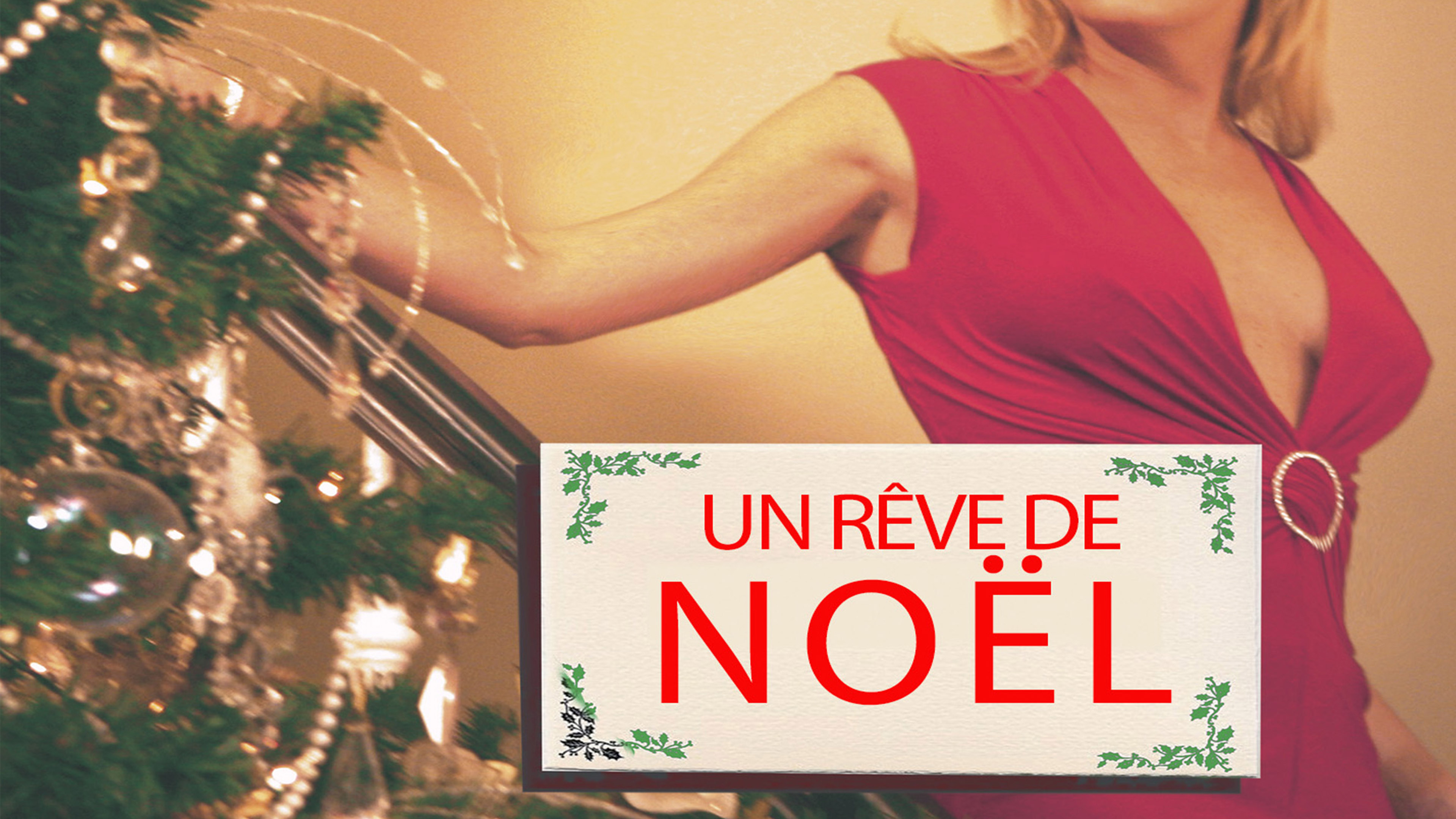 Un Rêve de Noël