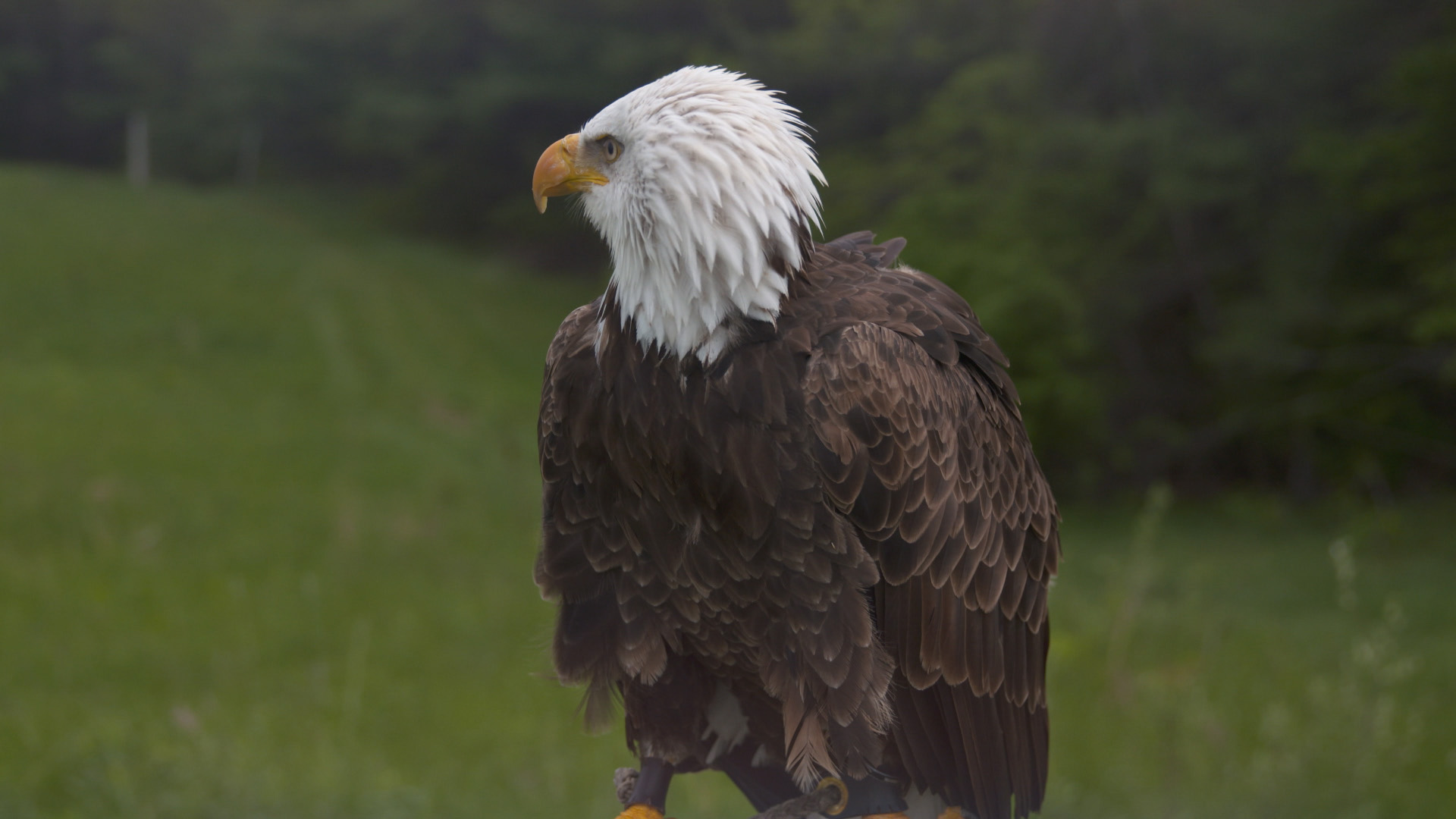 Attaquer et défendre