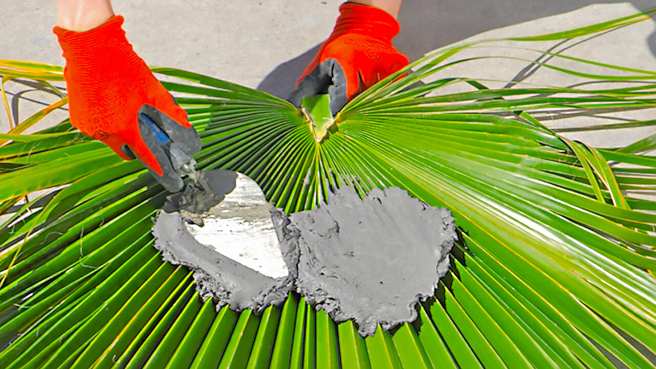 Tips simples para mejorar el look de tu jardín