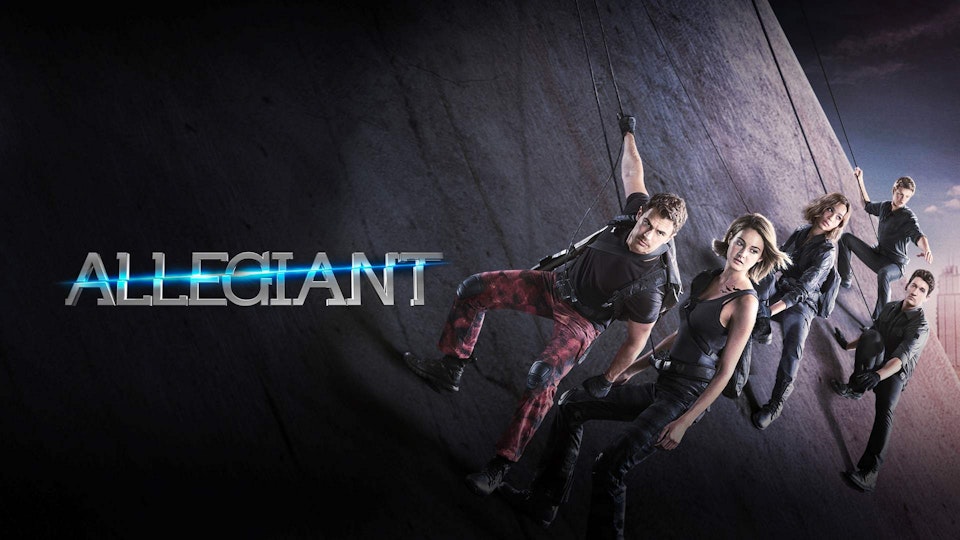 The Divergent Series