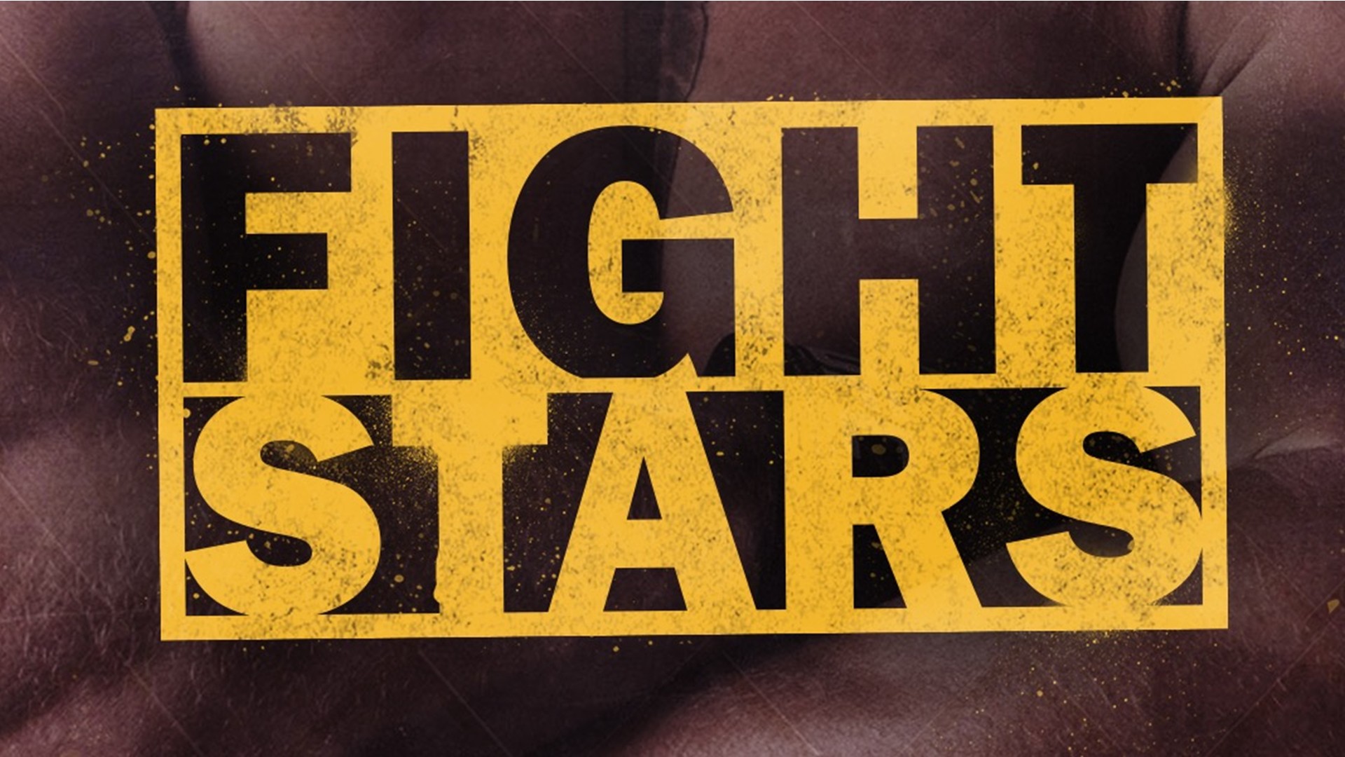 Fight Stars