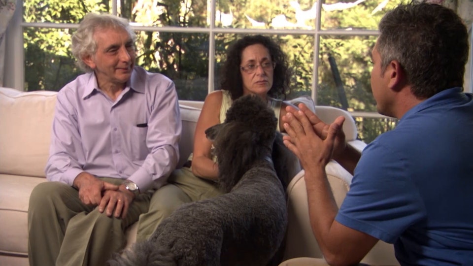 El encantador de perros