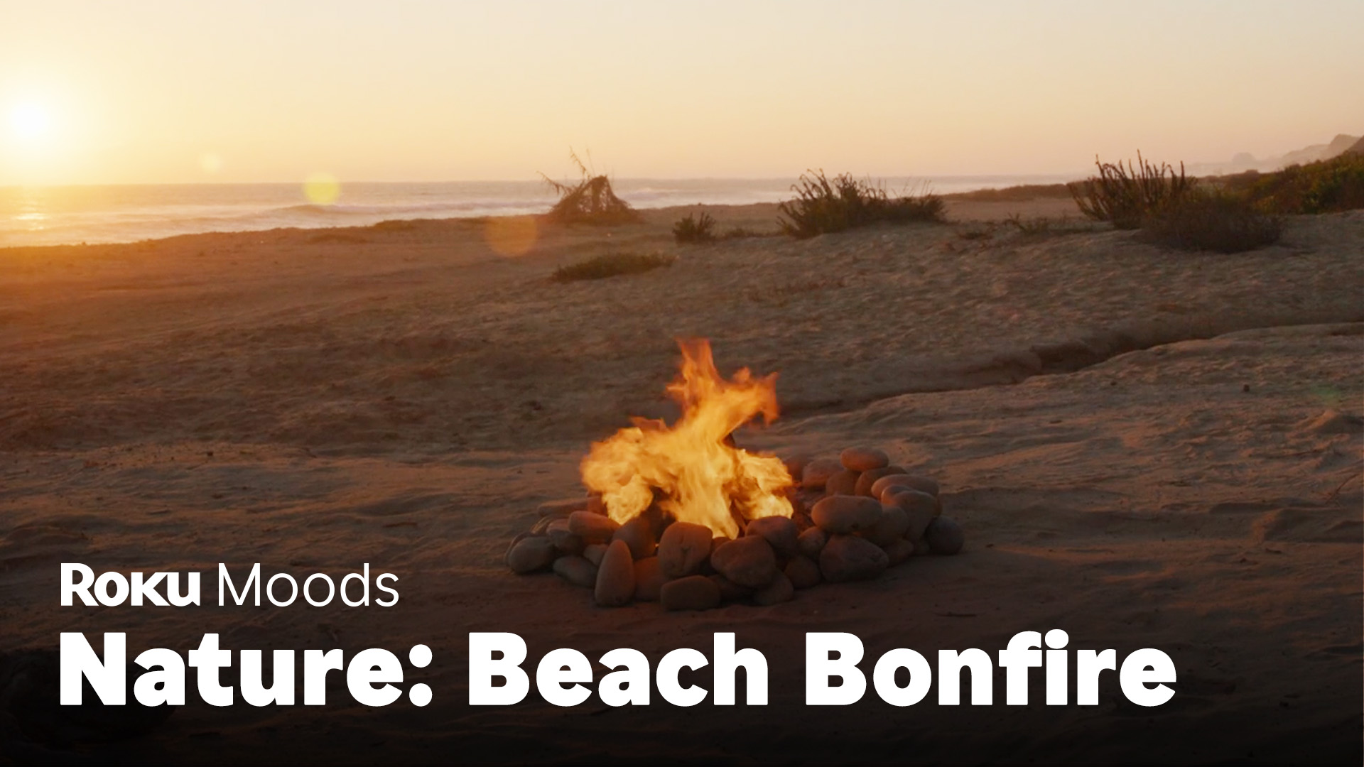 Beach Bonfire