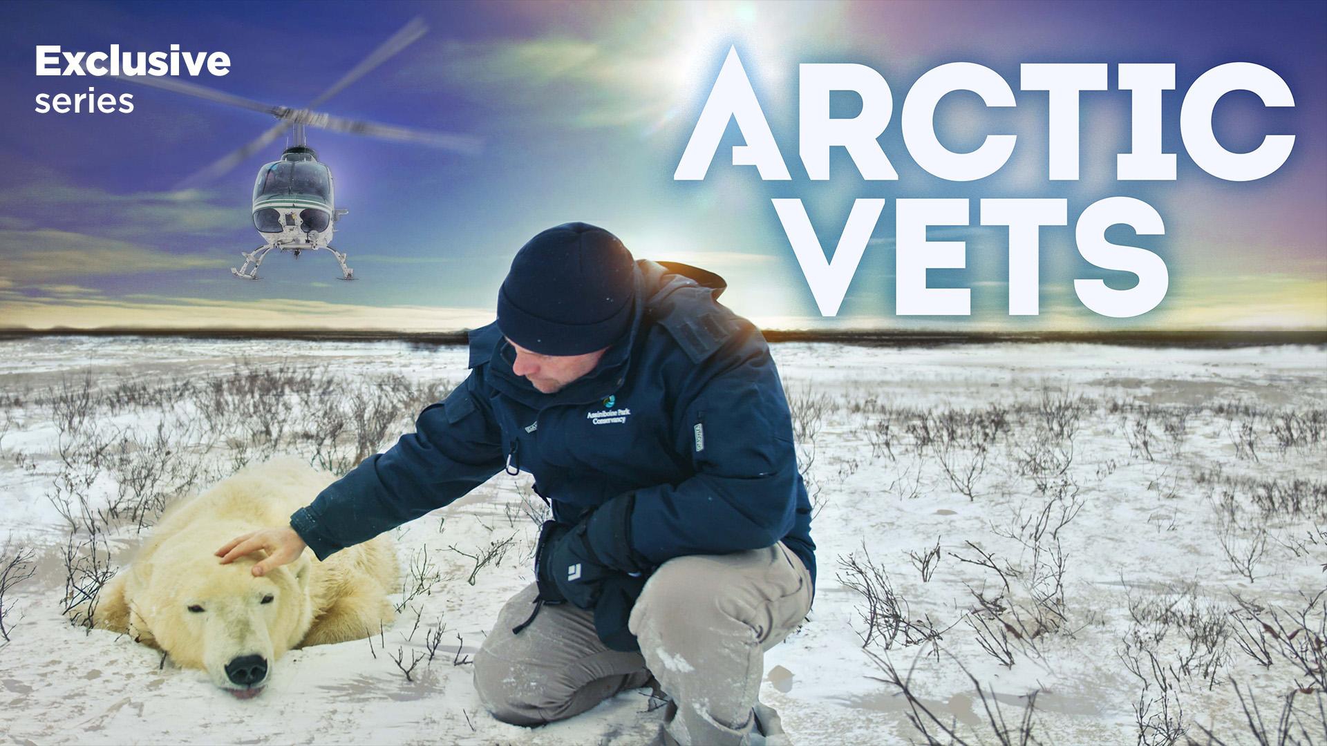 Arctic Vets