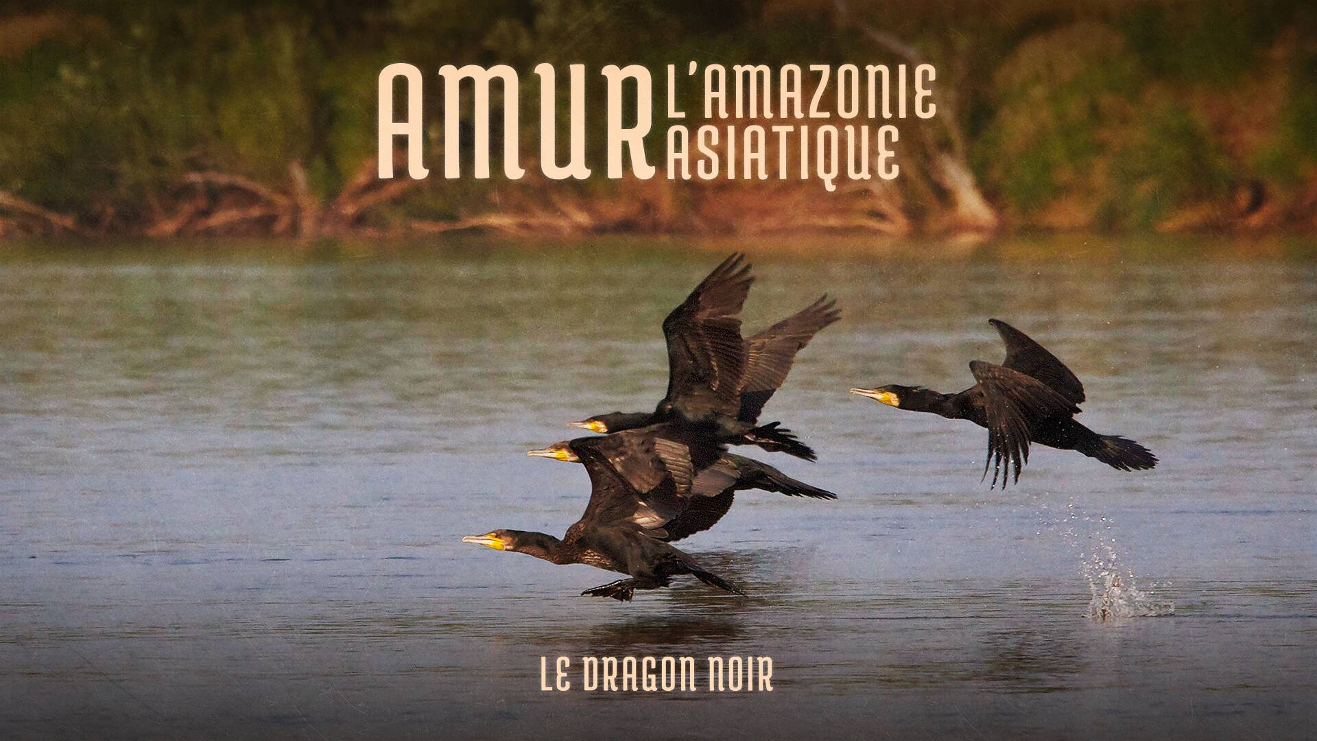 Amour: l'Amazonie Asiatique