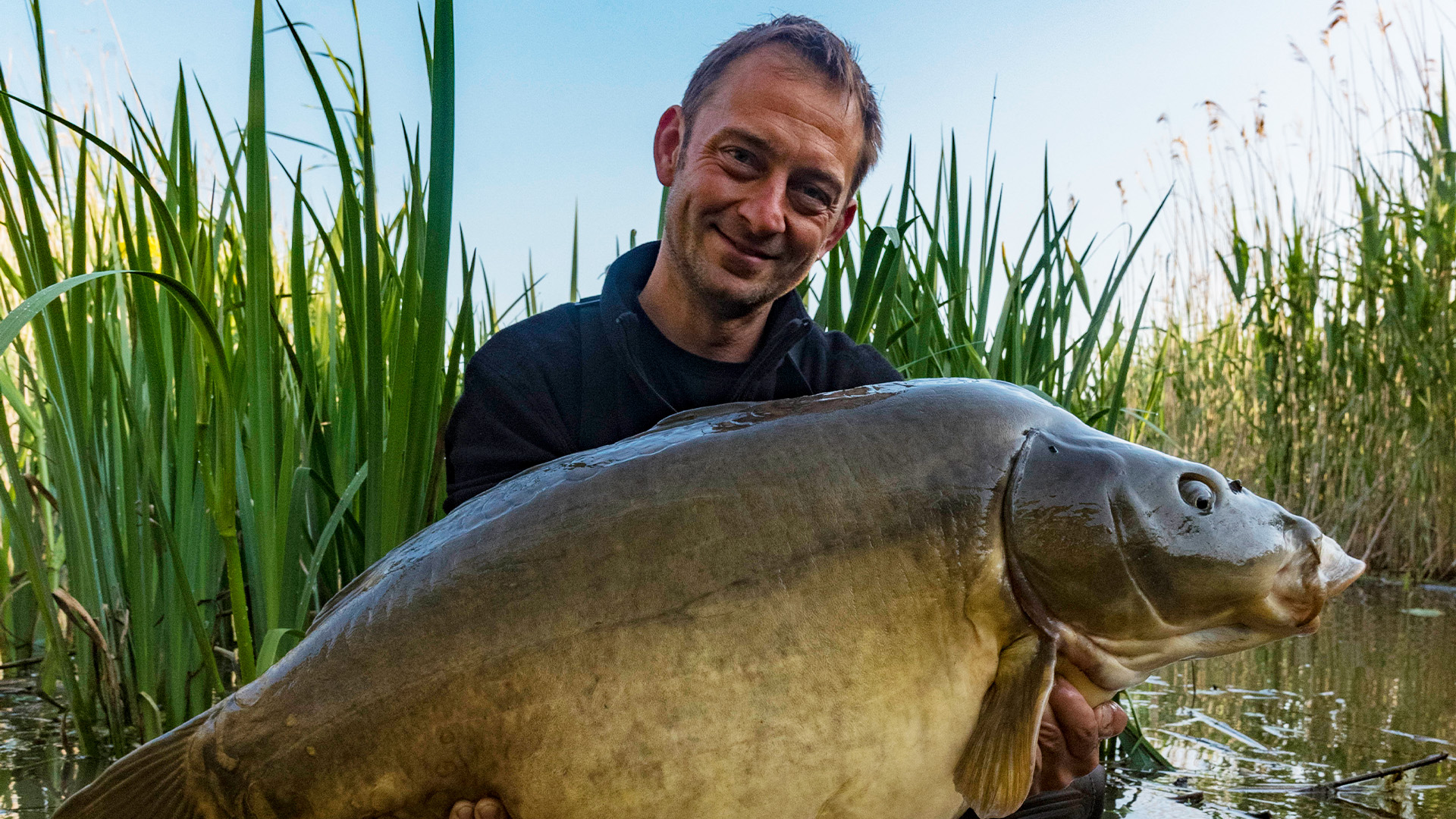 Carpocalypse im Schilf