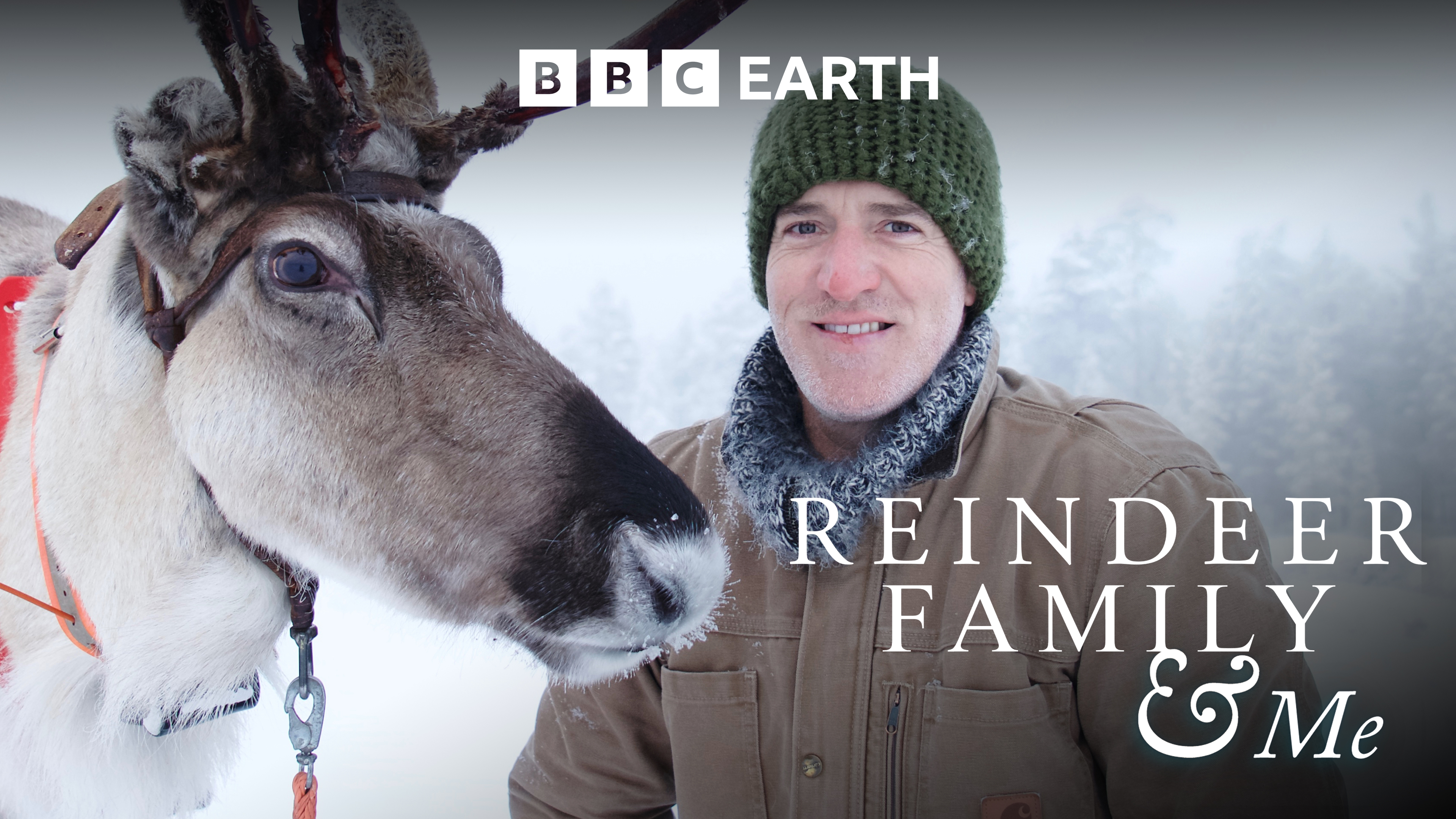 Reindeer Family and Me