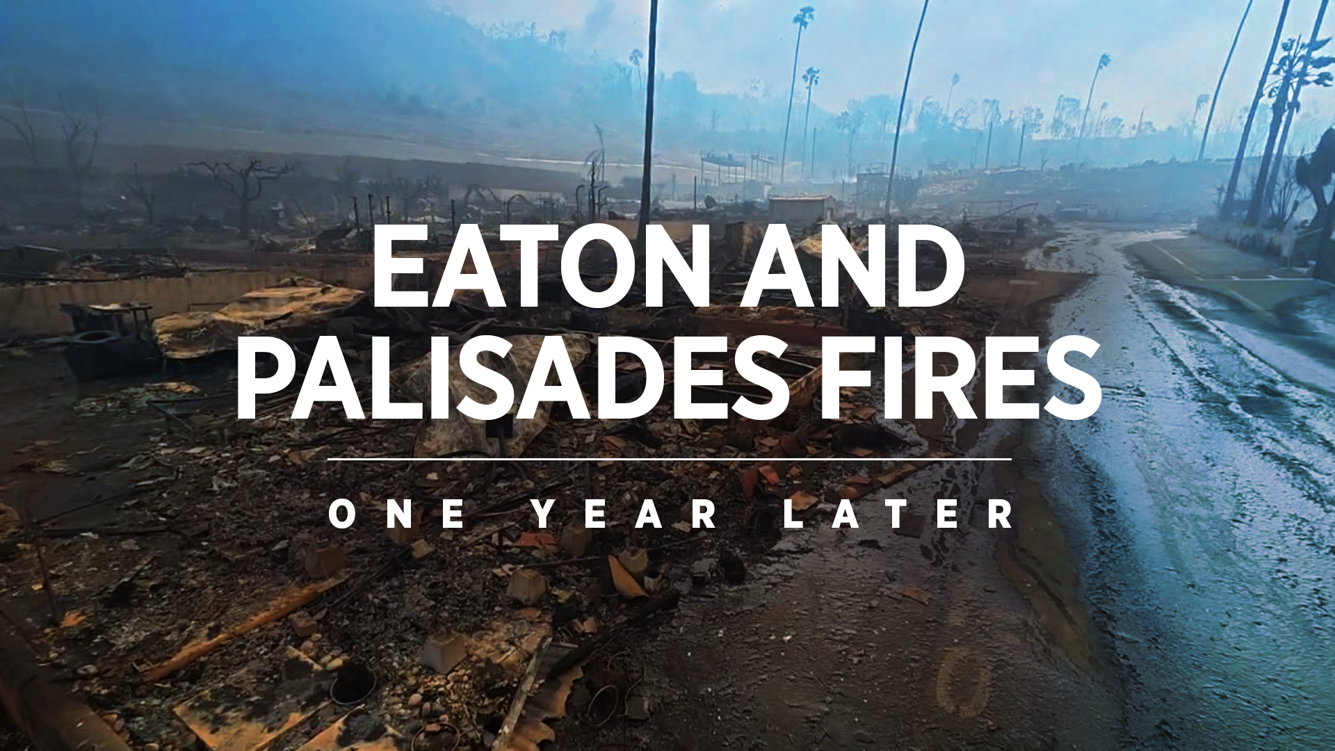 Eaton & Palisades Fires: One Year Later