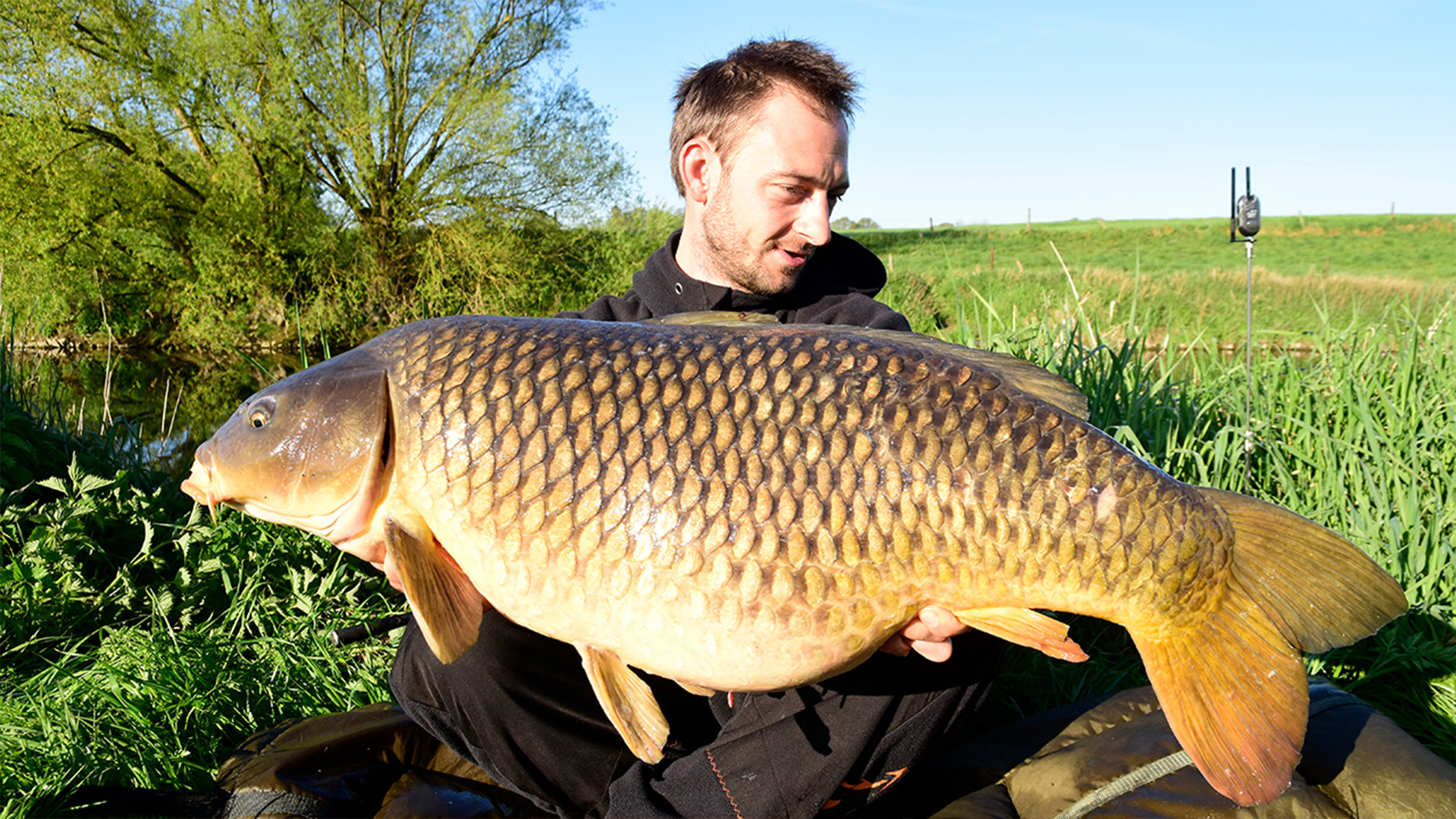 Karpfenangeln am Fluß