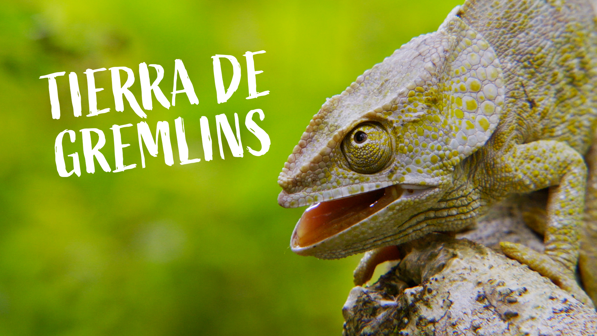 Tierra de Gremlins