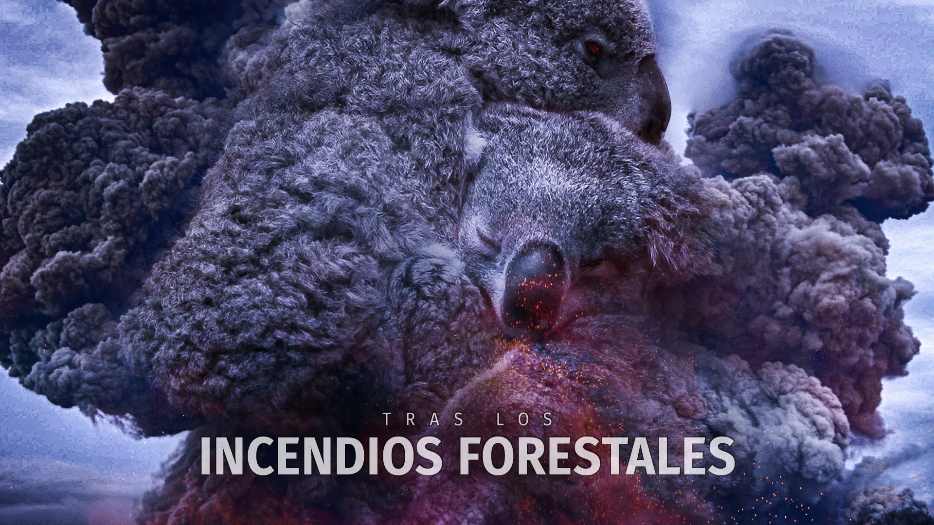 Tras los Incendios Forestales