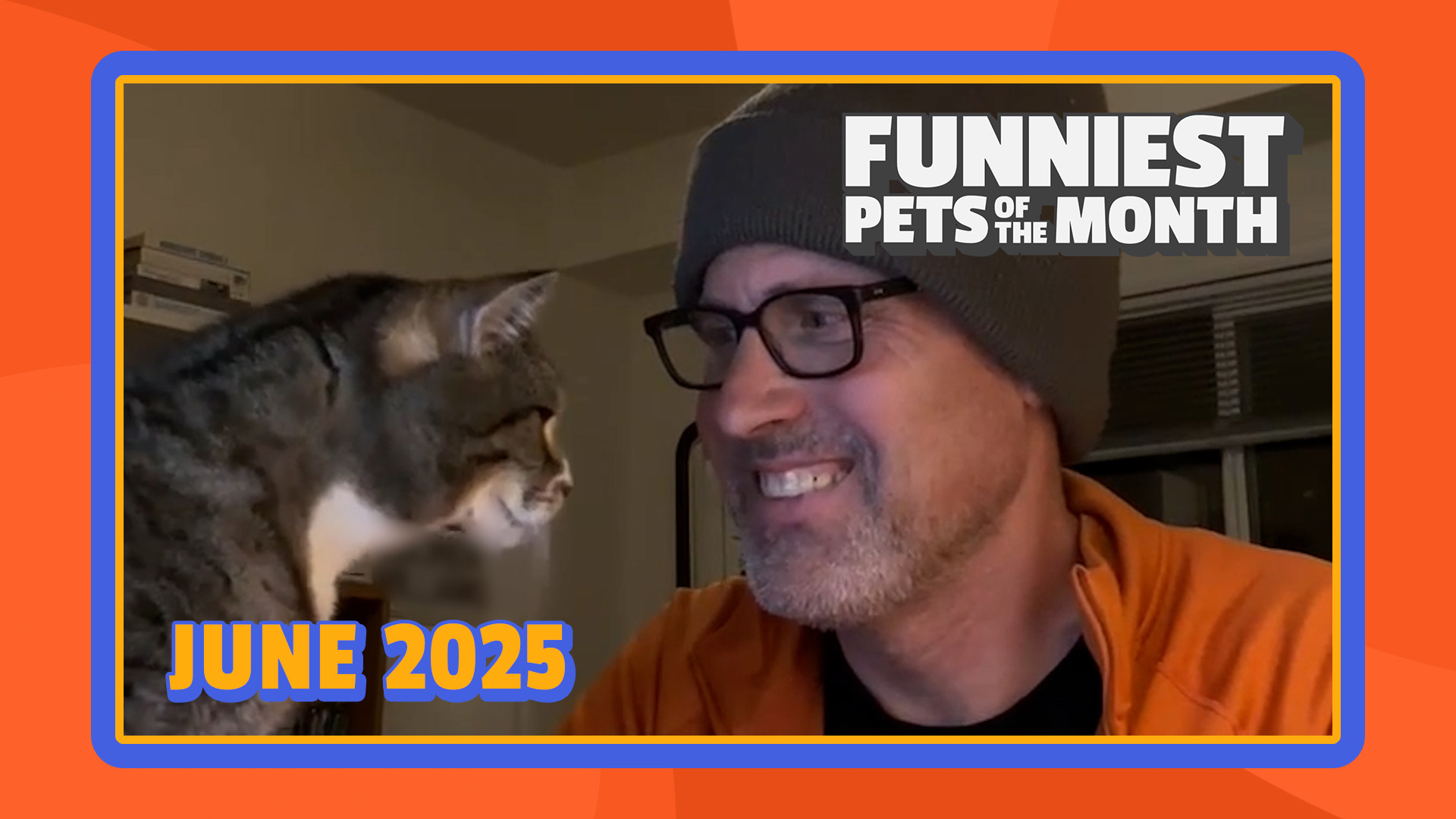 Funniest Pets of the Month