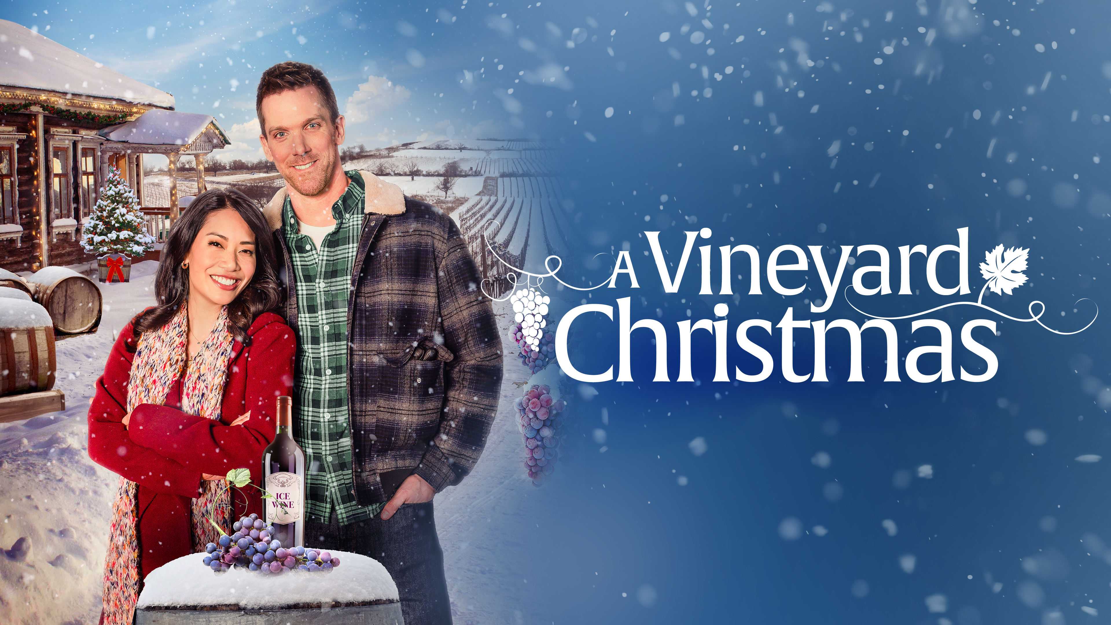 A Vineyard Christmas