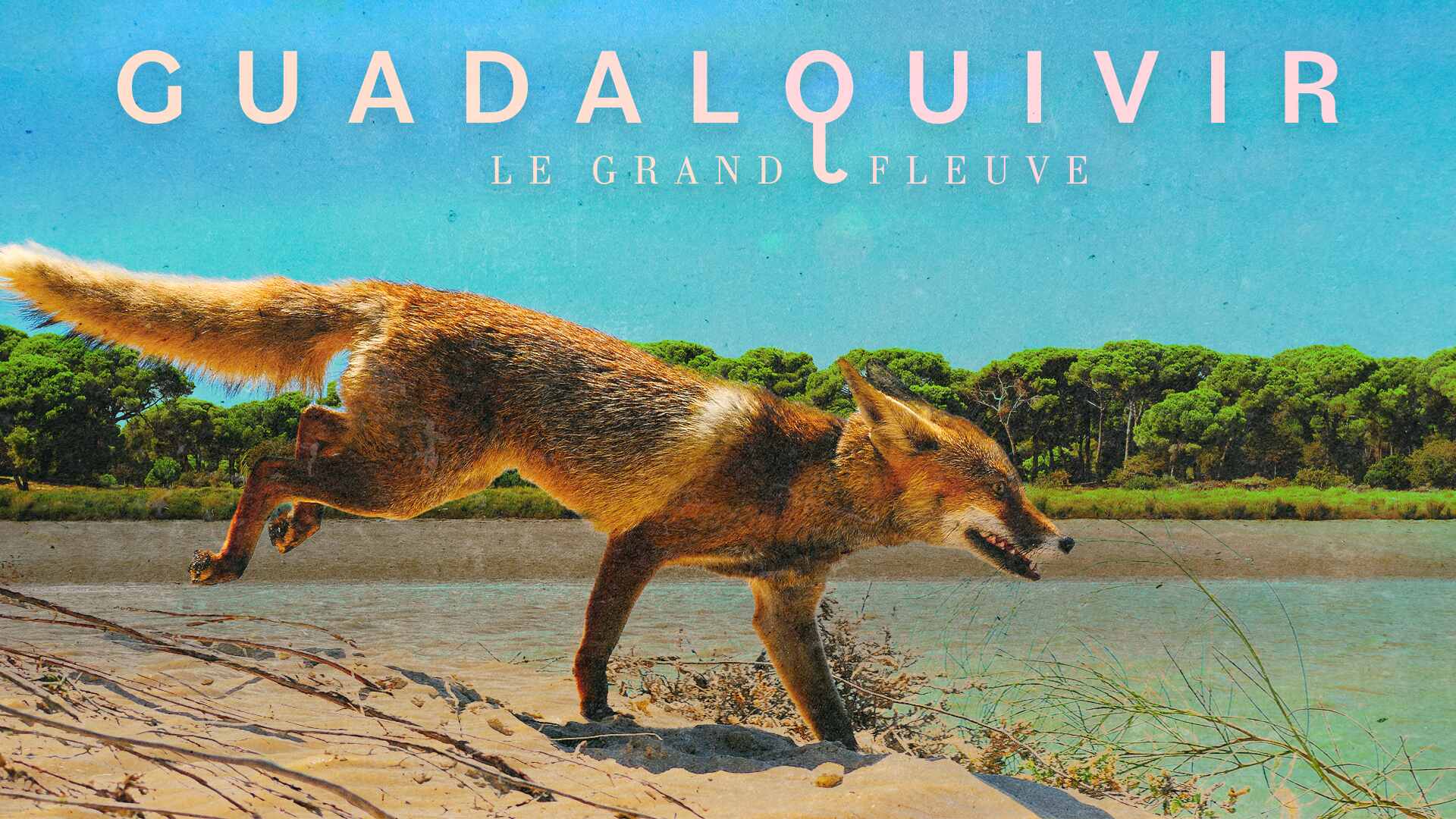 Guadalquivir: Le Grand Fleuve