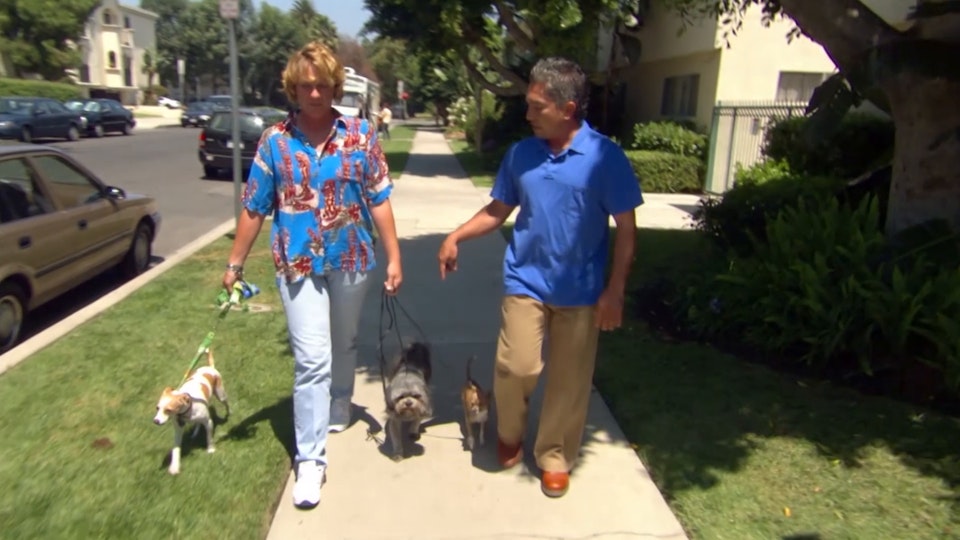 El encantador de perros