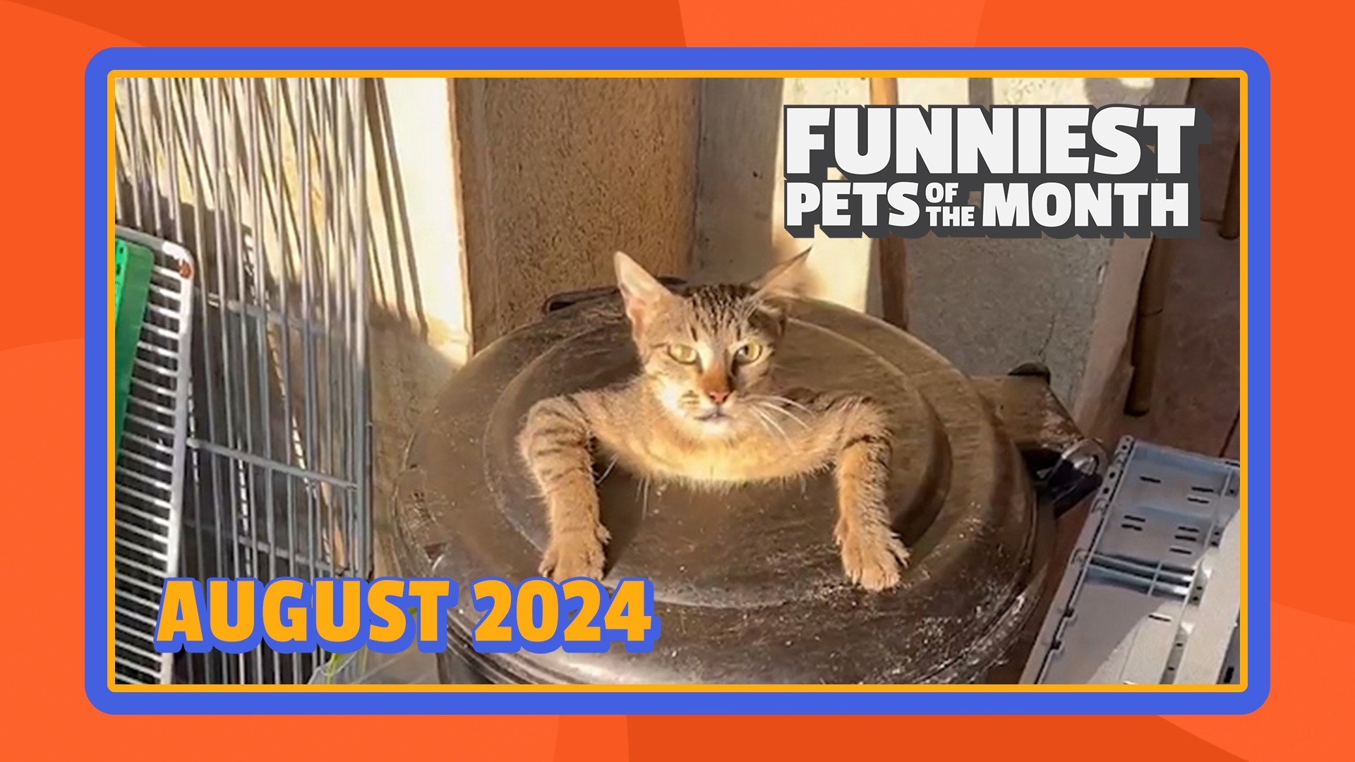 Funniest Pets of the Month | Ep. 1.9