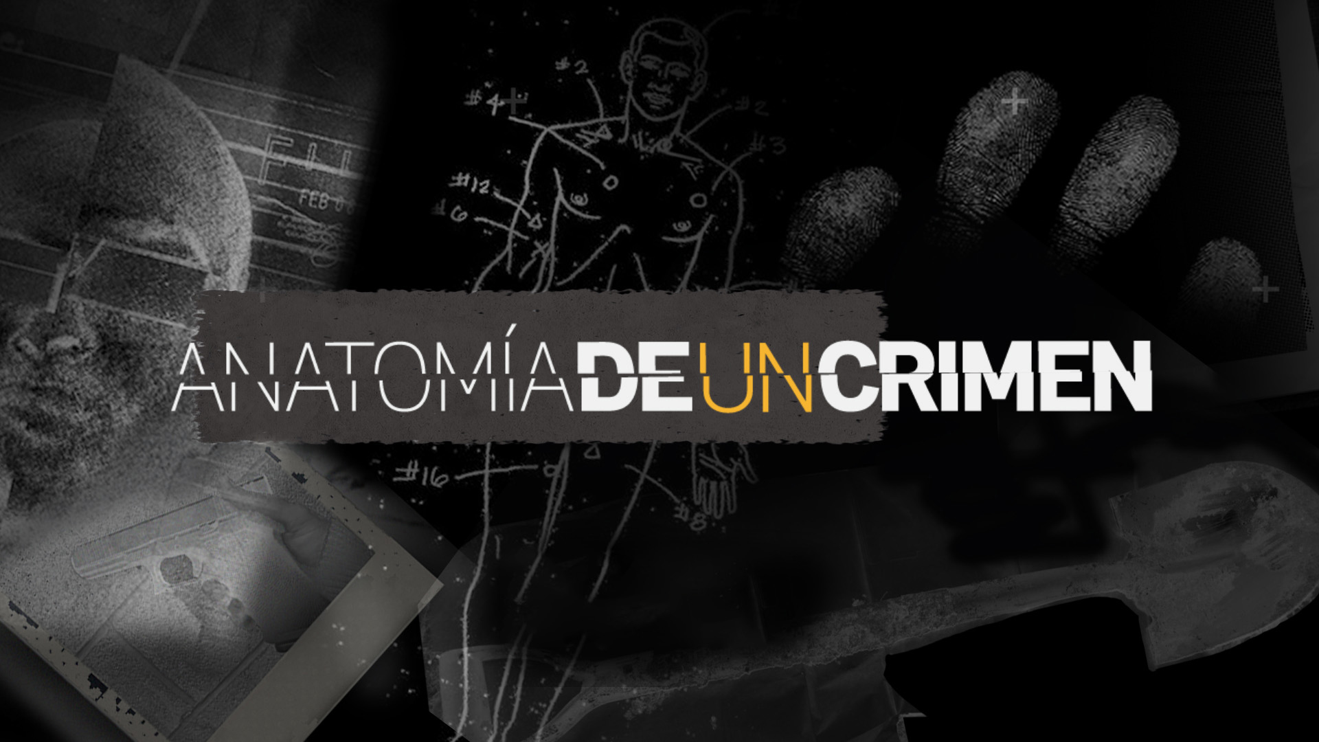 Anatomía de un crimen