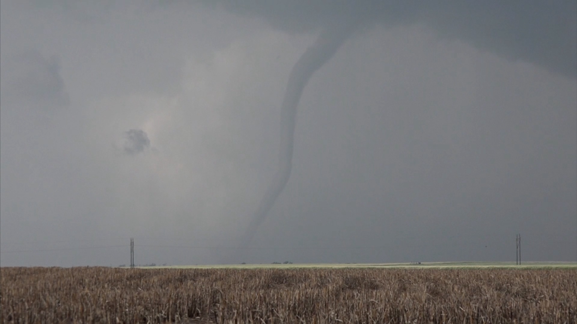 Storm Hunters | Fight or Flight