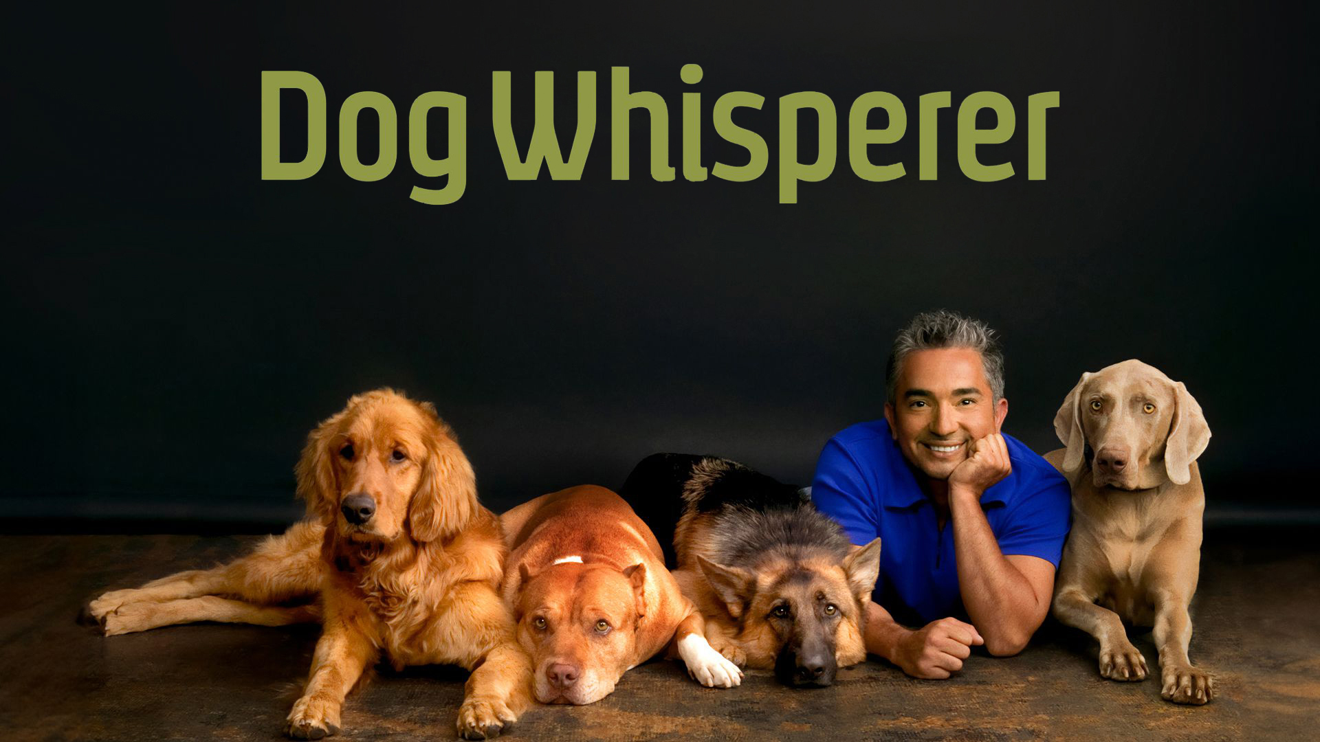 Dog Whisperer with Cesar Millan