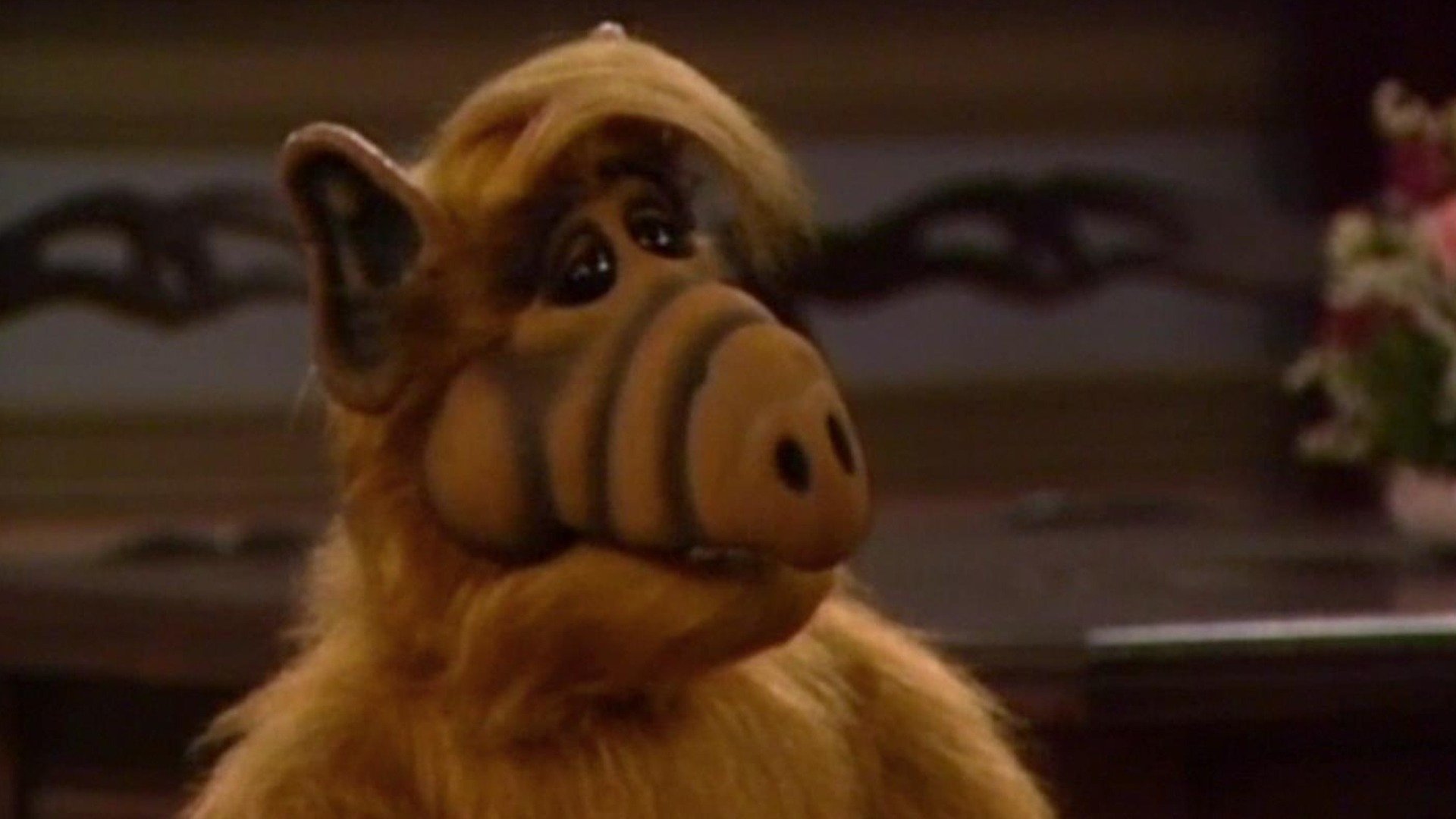 ALF
