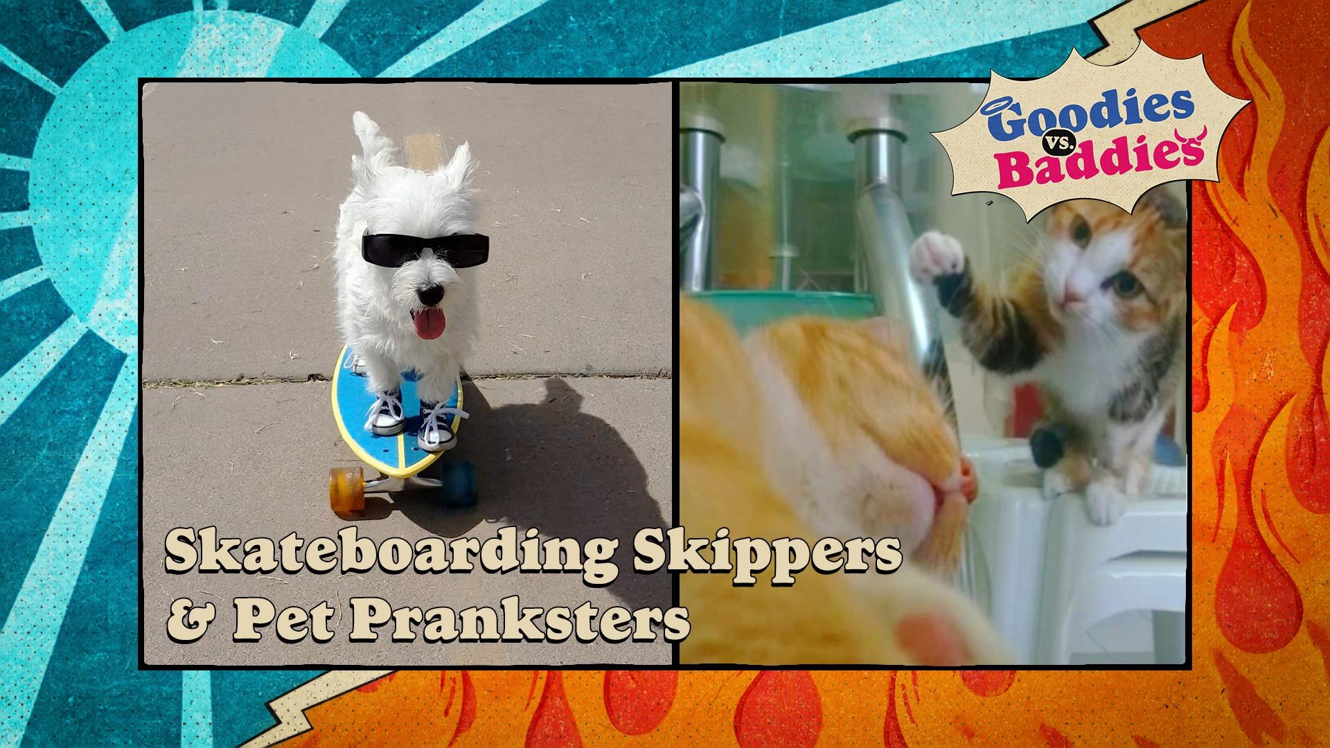 Goodies VS. Baddies | Skateboarding Skippers & Pet Pranksters