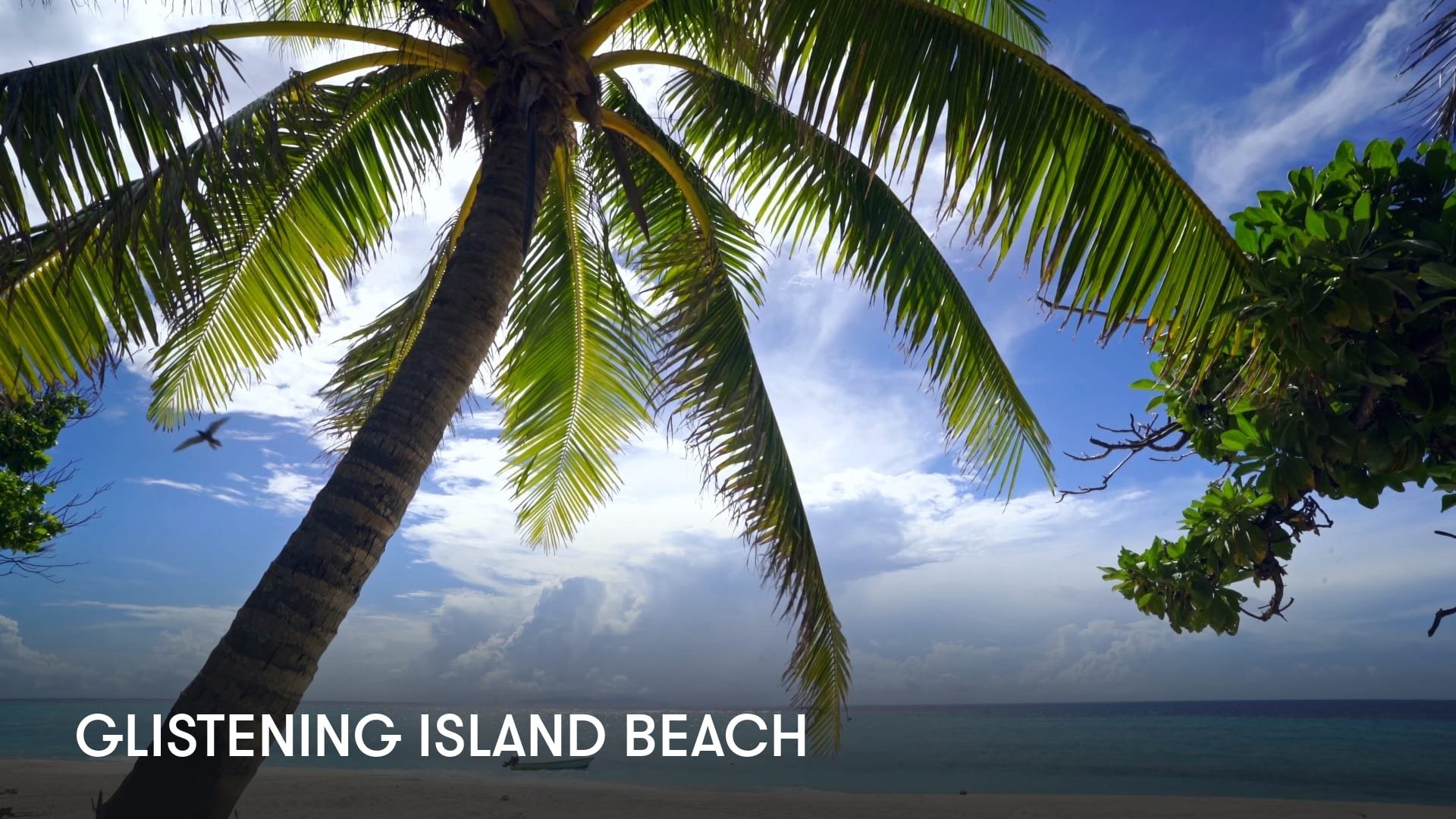 Glistening Island Beach