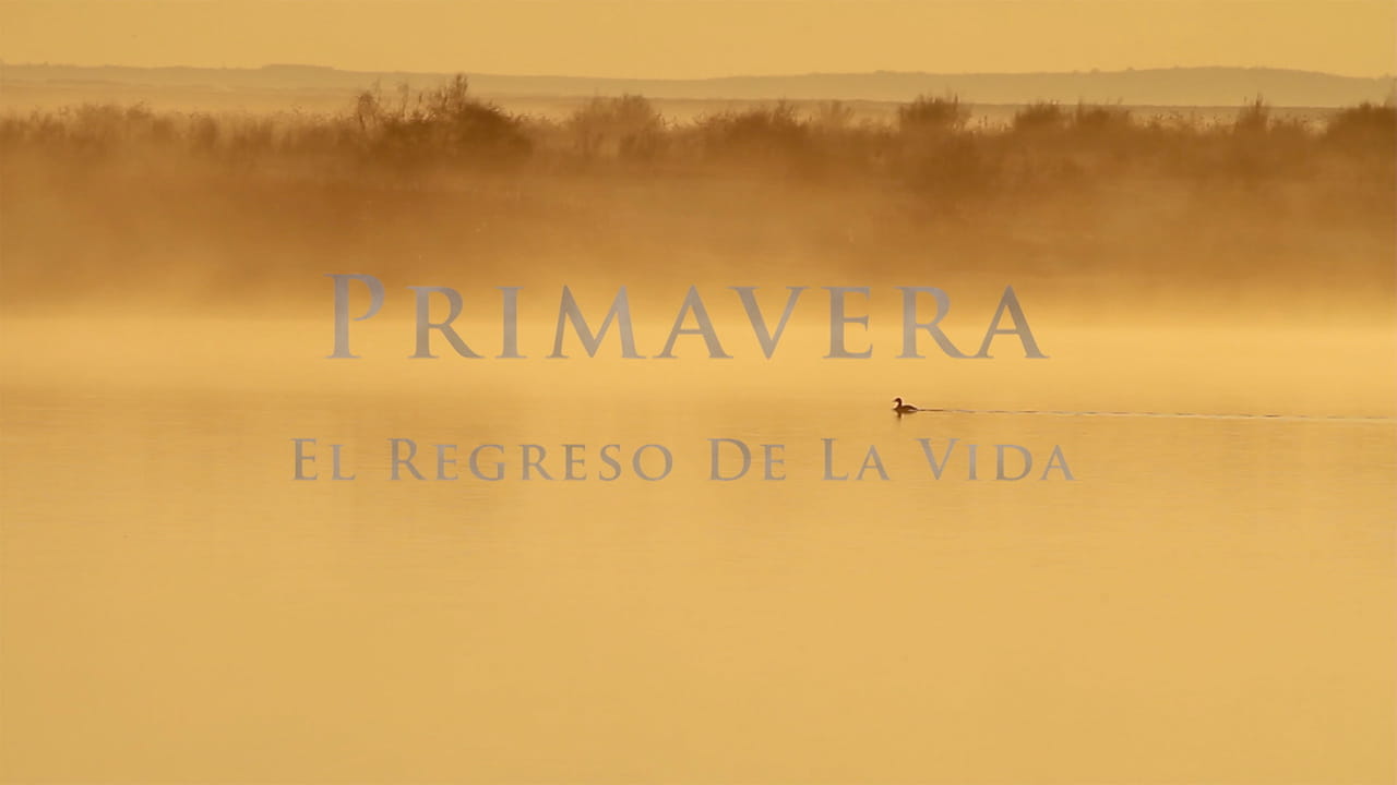 Primavera El Regreso de La Vida
