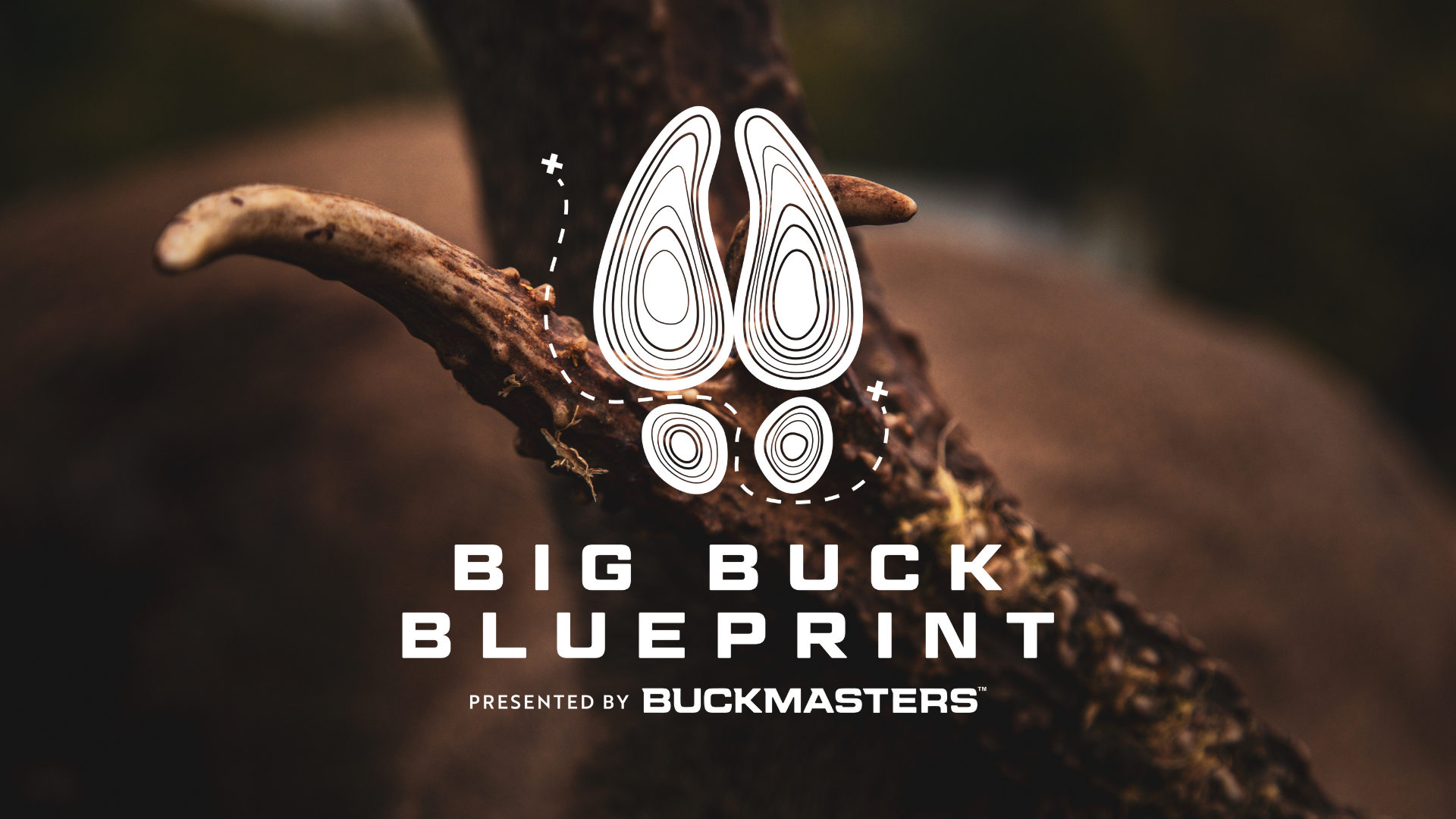 Big Buck Blue Print