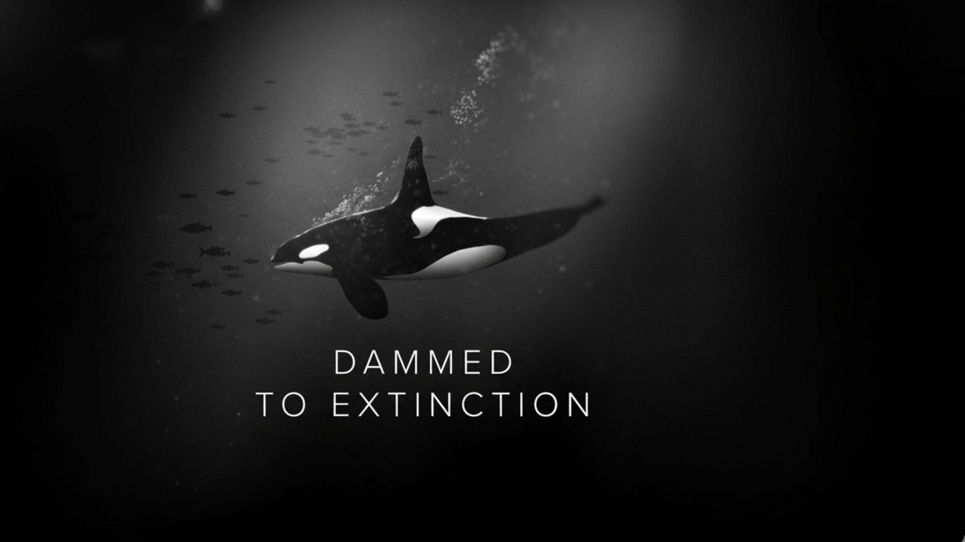 Damned to Extinction