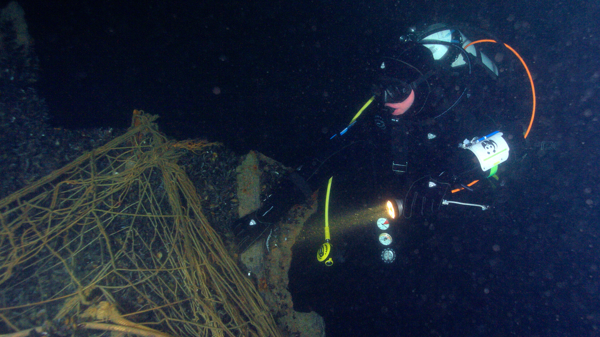 Geisternetze in der Ostsee