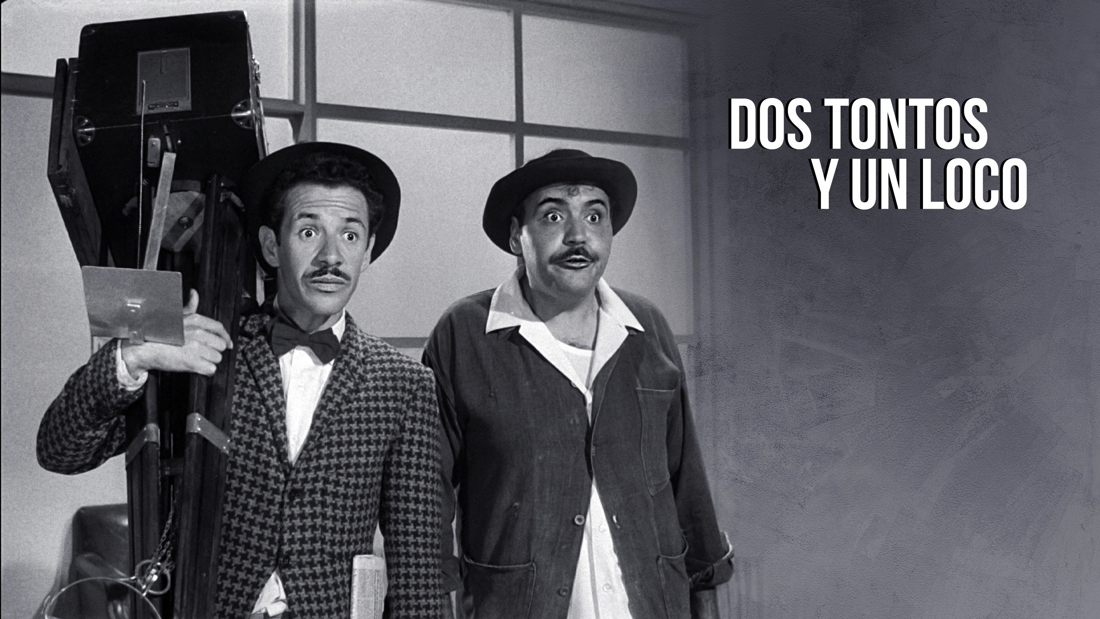 Dos tontos y un loco