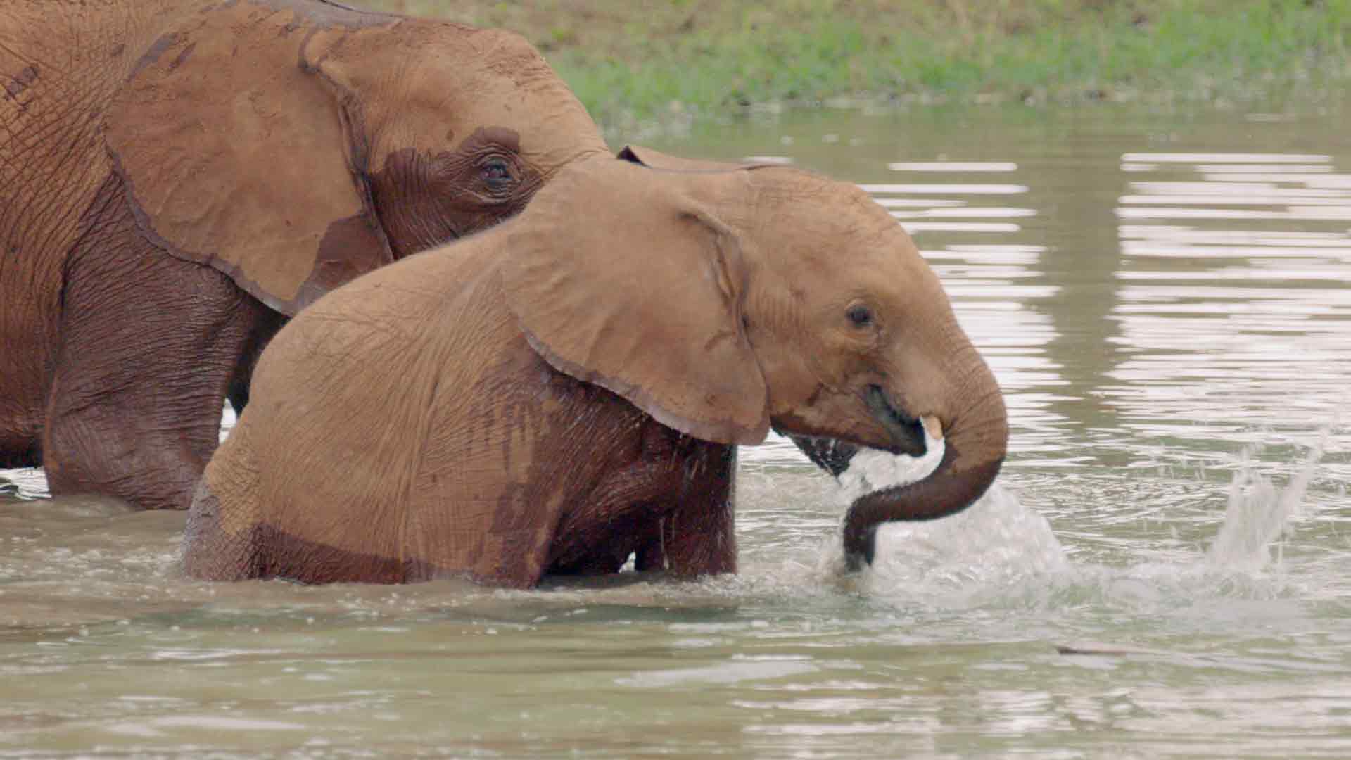 Les gardiens de la nature