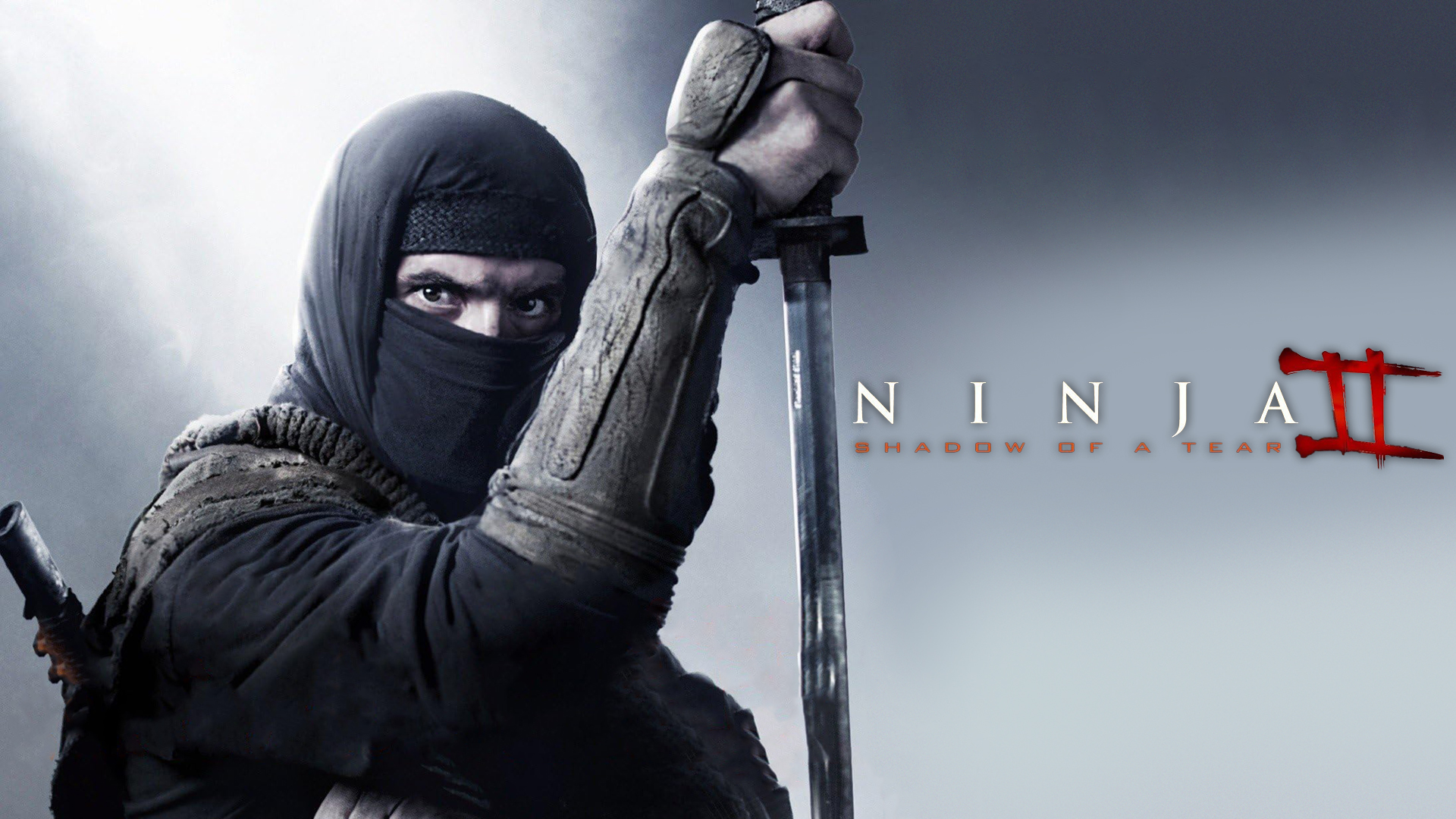Ninja II: Shadow of a Tear