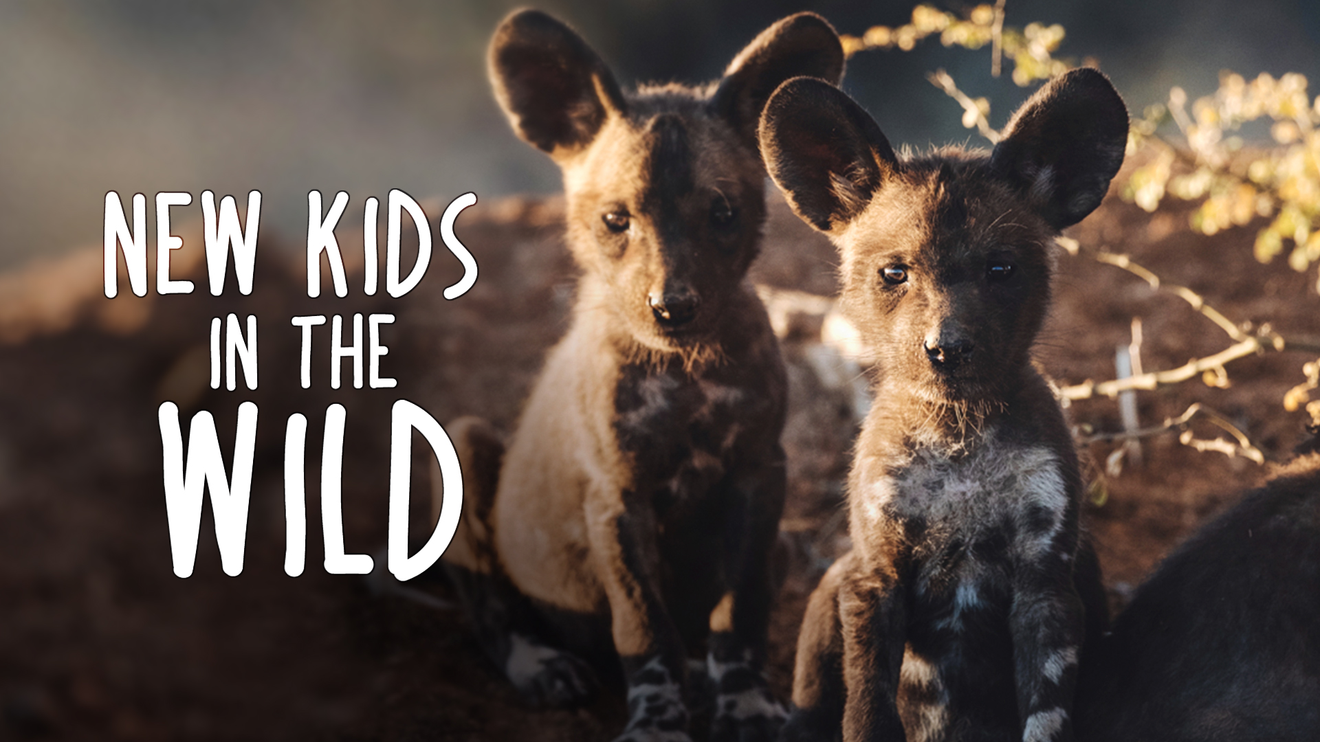 New Kids in the Wild