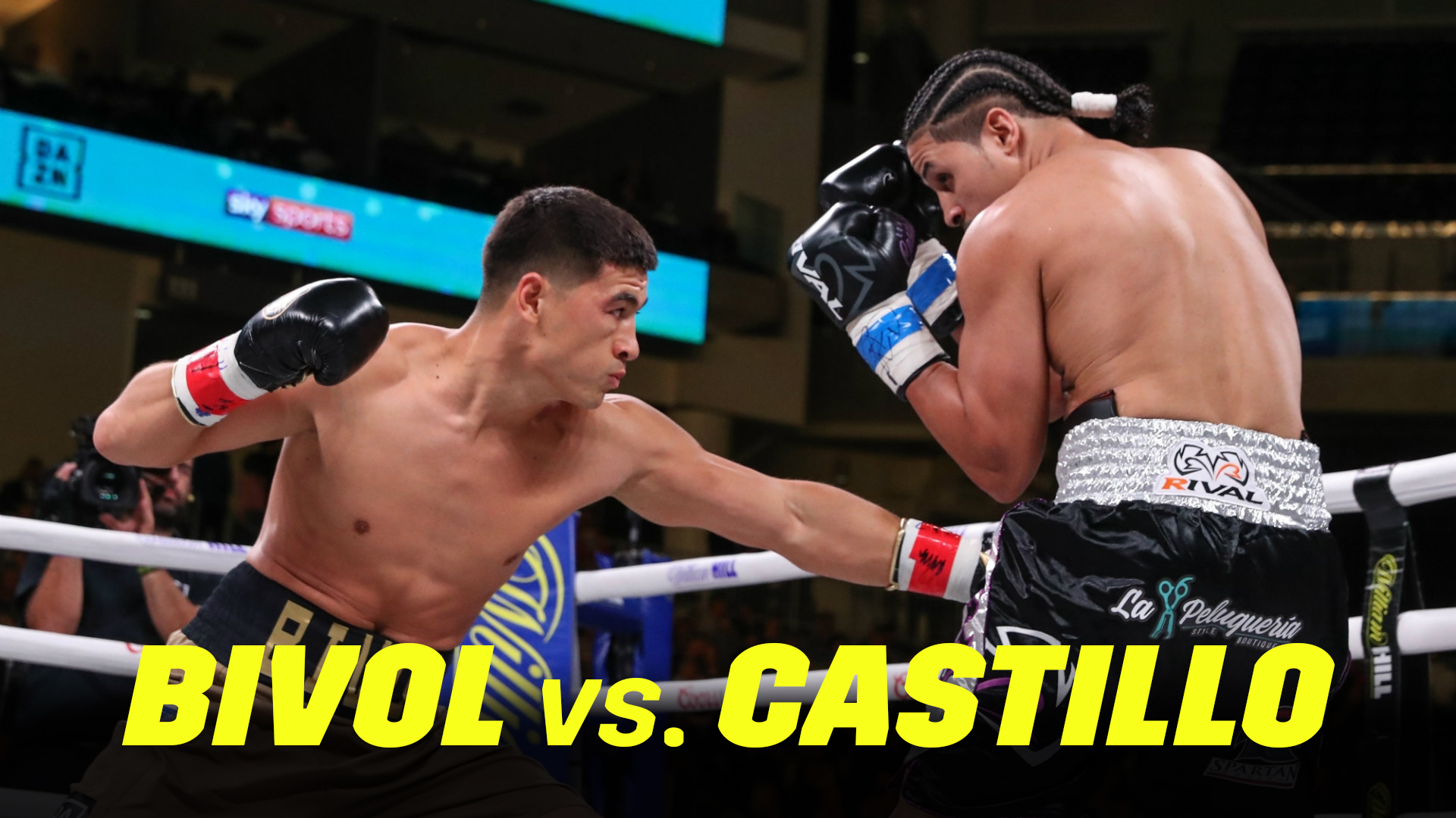 Bivol vs. Castillo (2019)