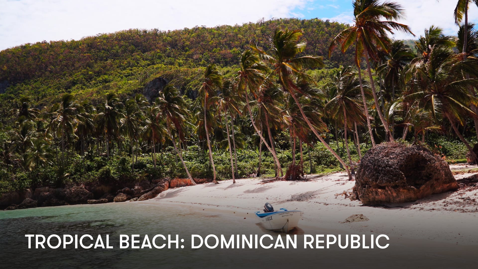 Tropical Beach: Dominican Republic