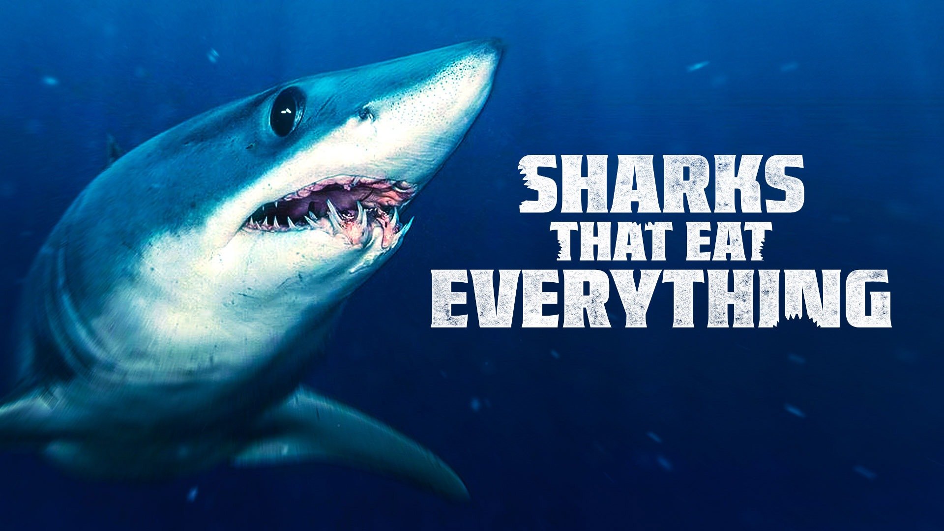Sharks That Eat Everything