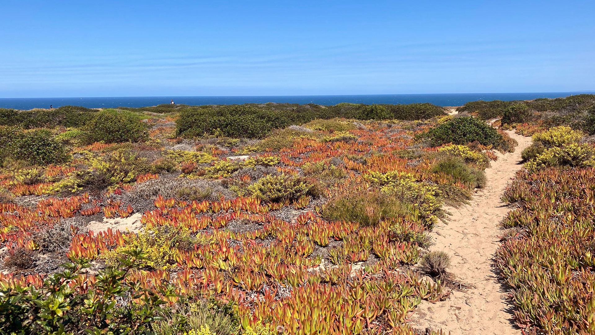 Portugal's Nature Parks