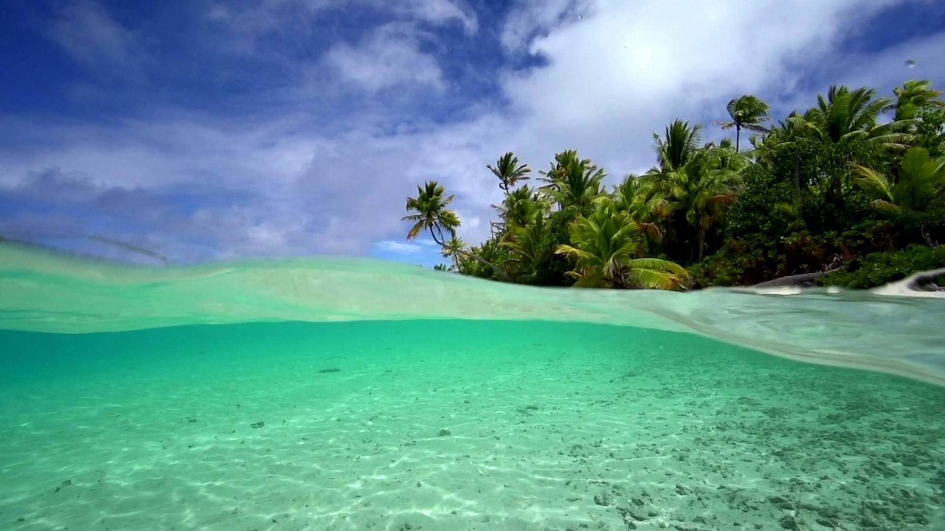 Tropical Weightlessness