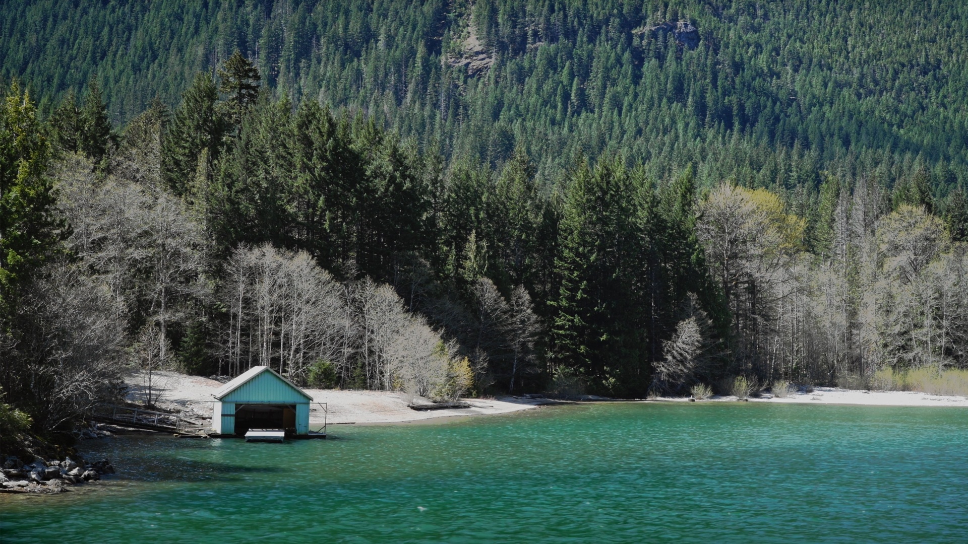 Serene Waters: Diablo Lake: Washington