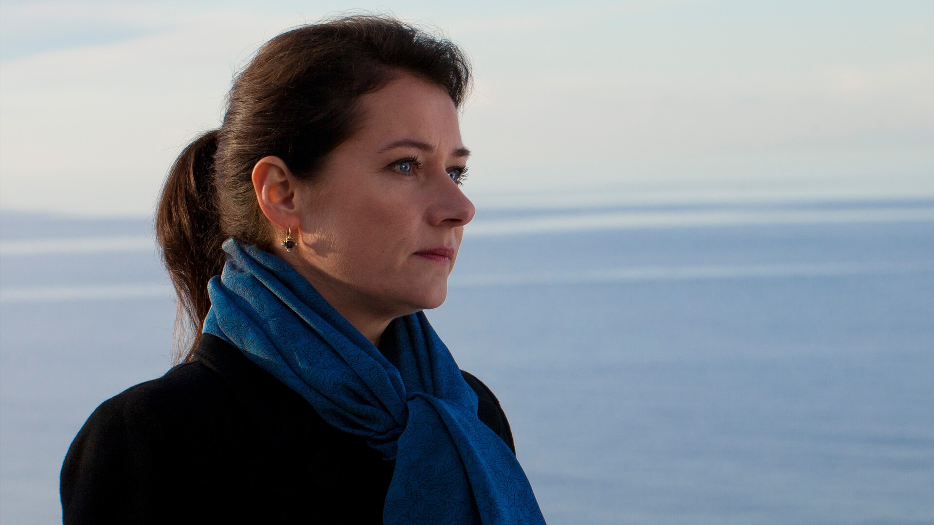 Borgen – Gefährliche Seilschaften