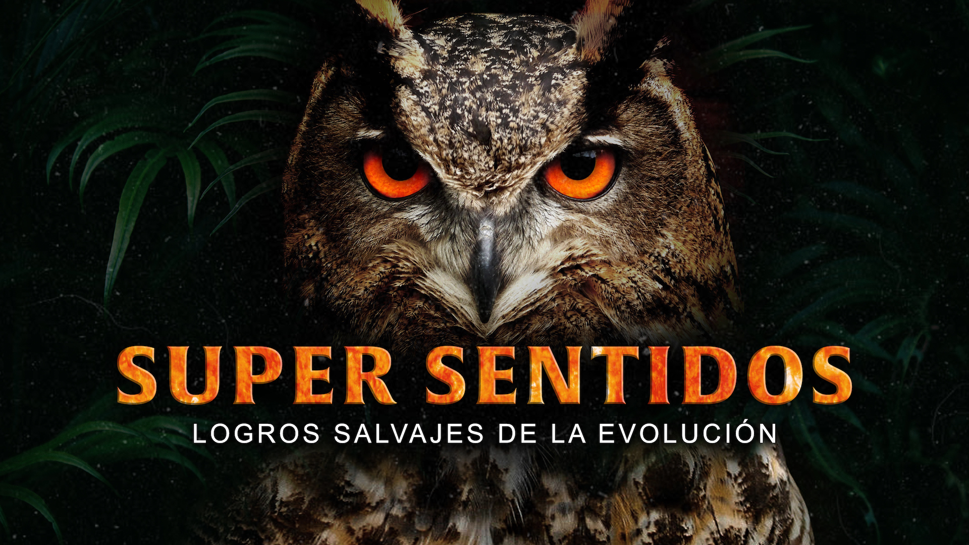 Super sentidos: Logros salvajes de la evolución