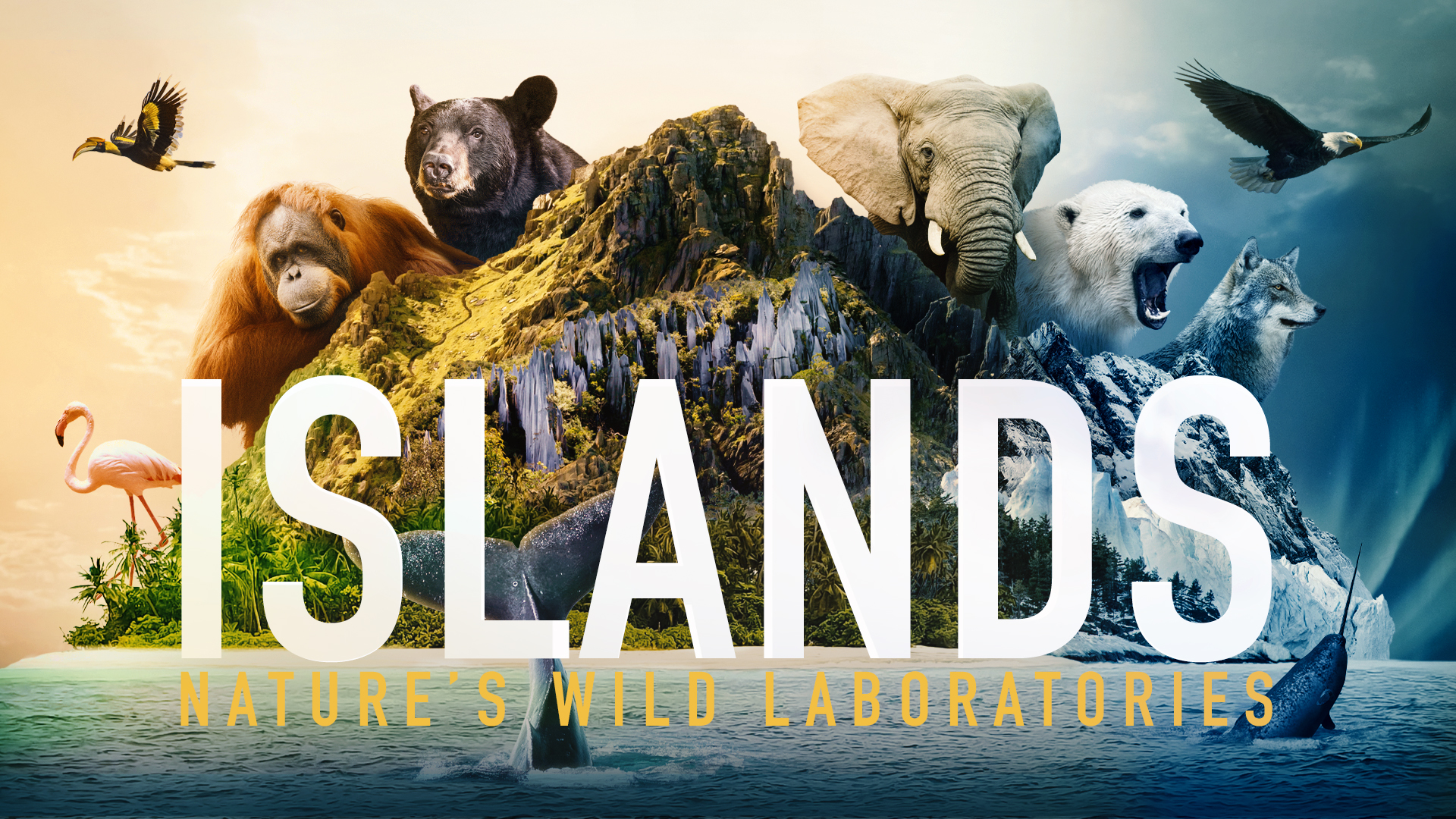 Islands: Nature's Wild Laboratories