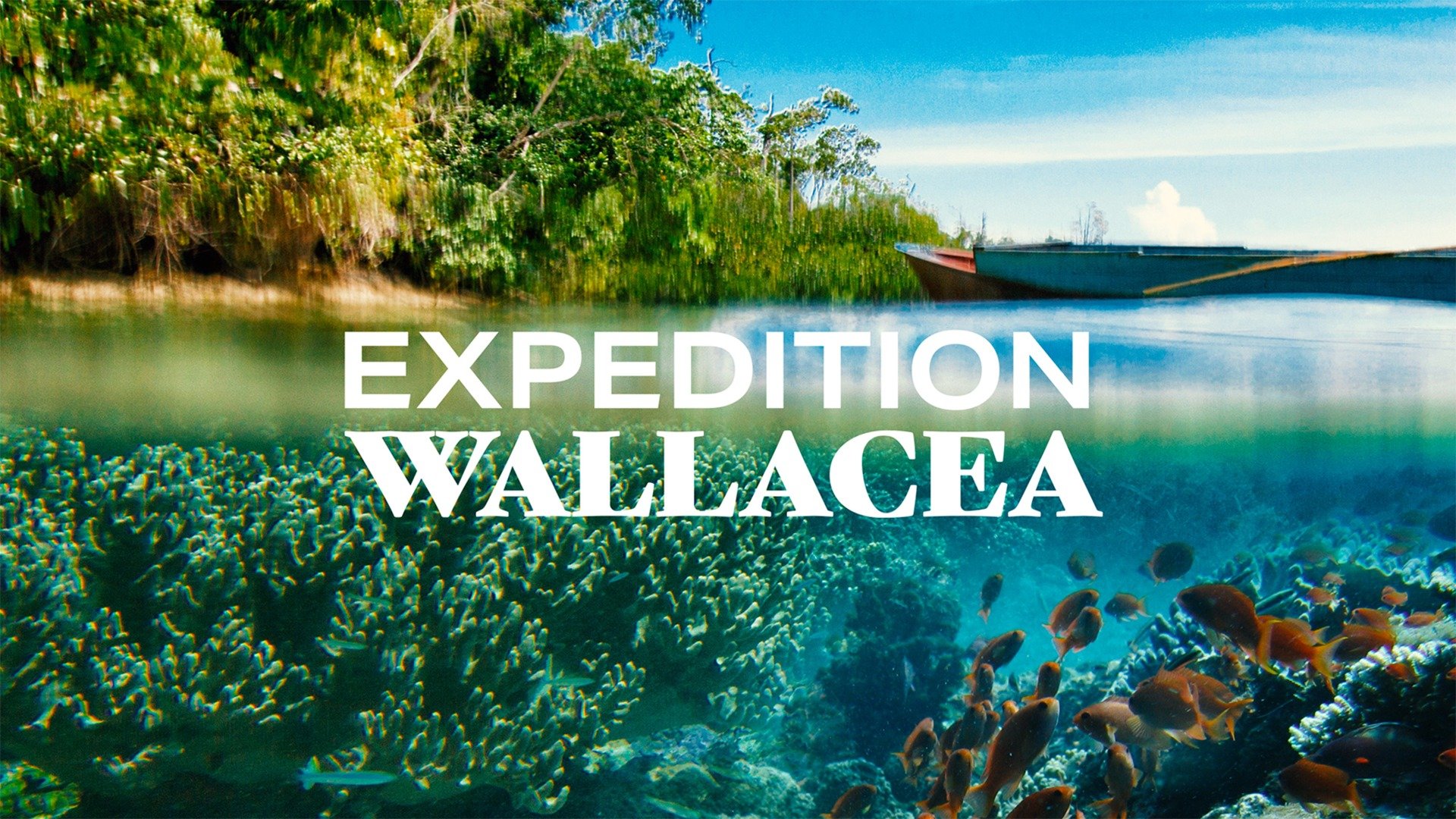 Expedition Wallacea - The Cradle of Marine Life
