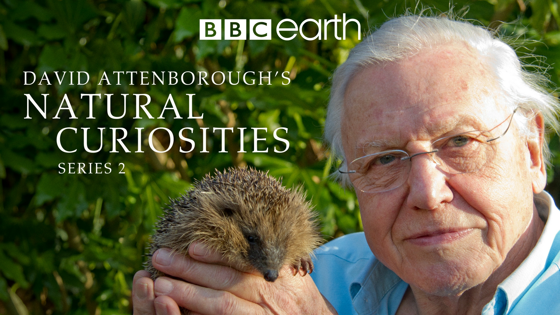 David Attenborough e le curiosità della natura Animali corazzati