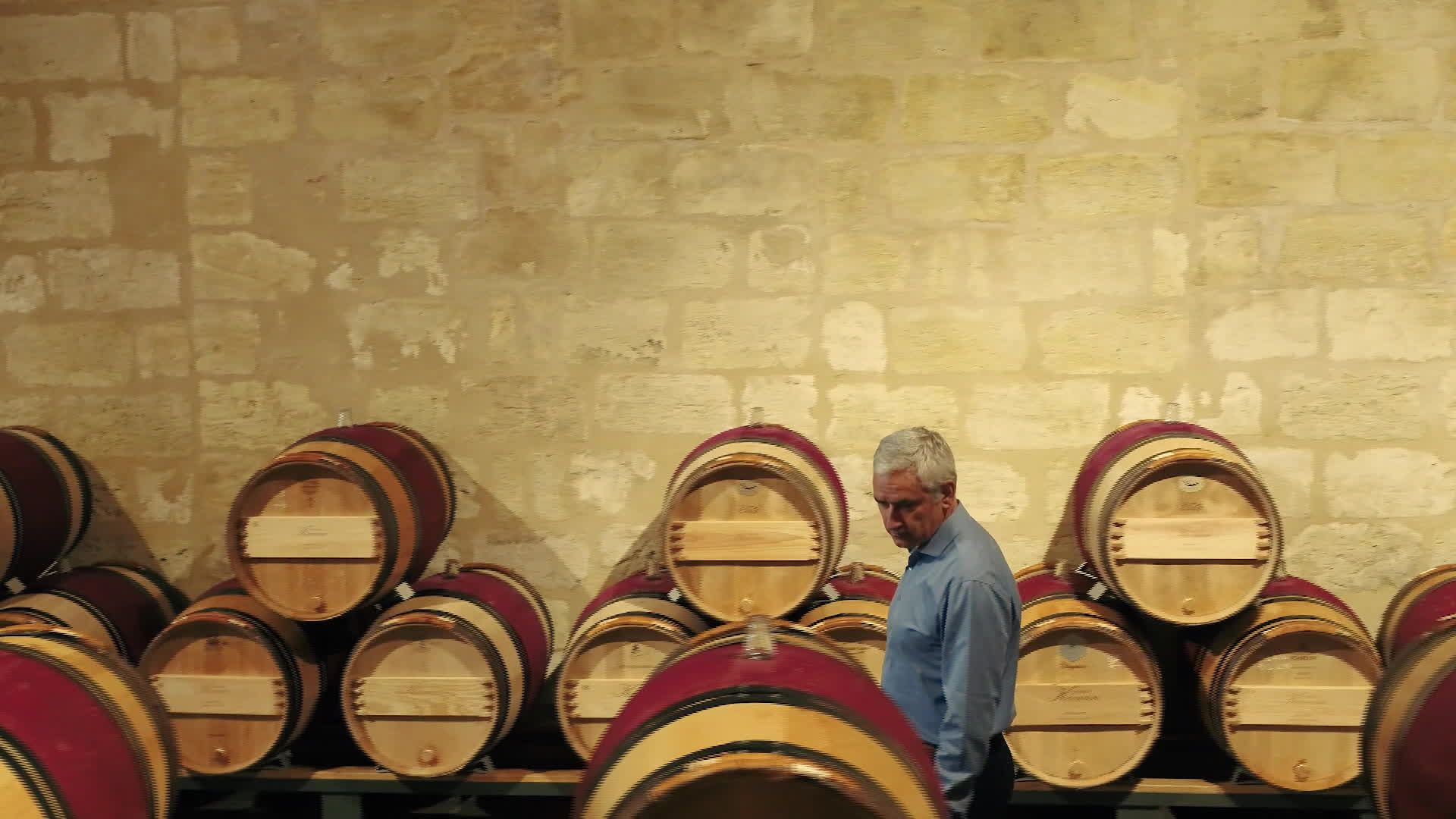 La vigne en heritage